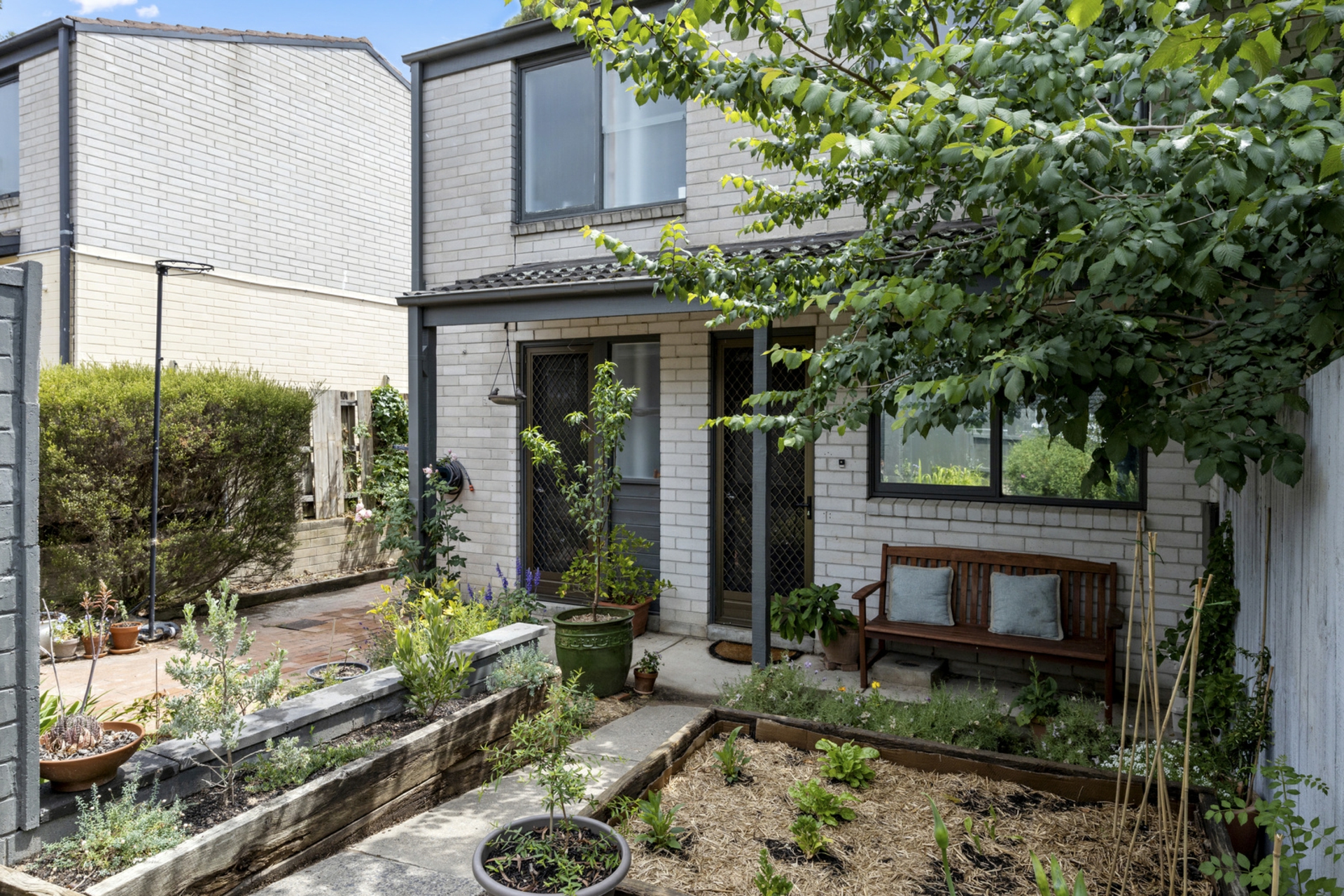 43 Goodenia Street, RIVETT