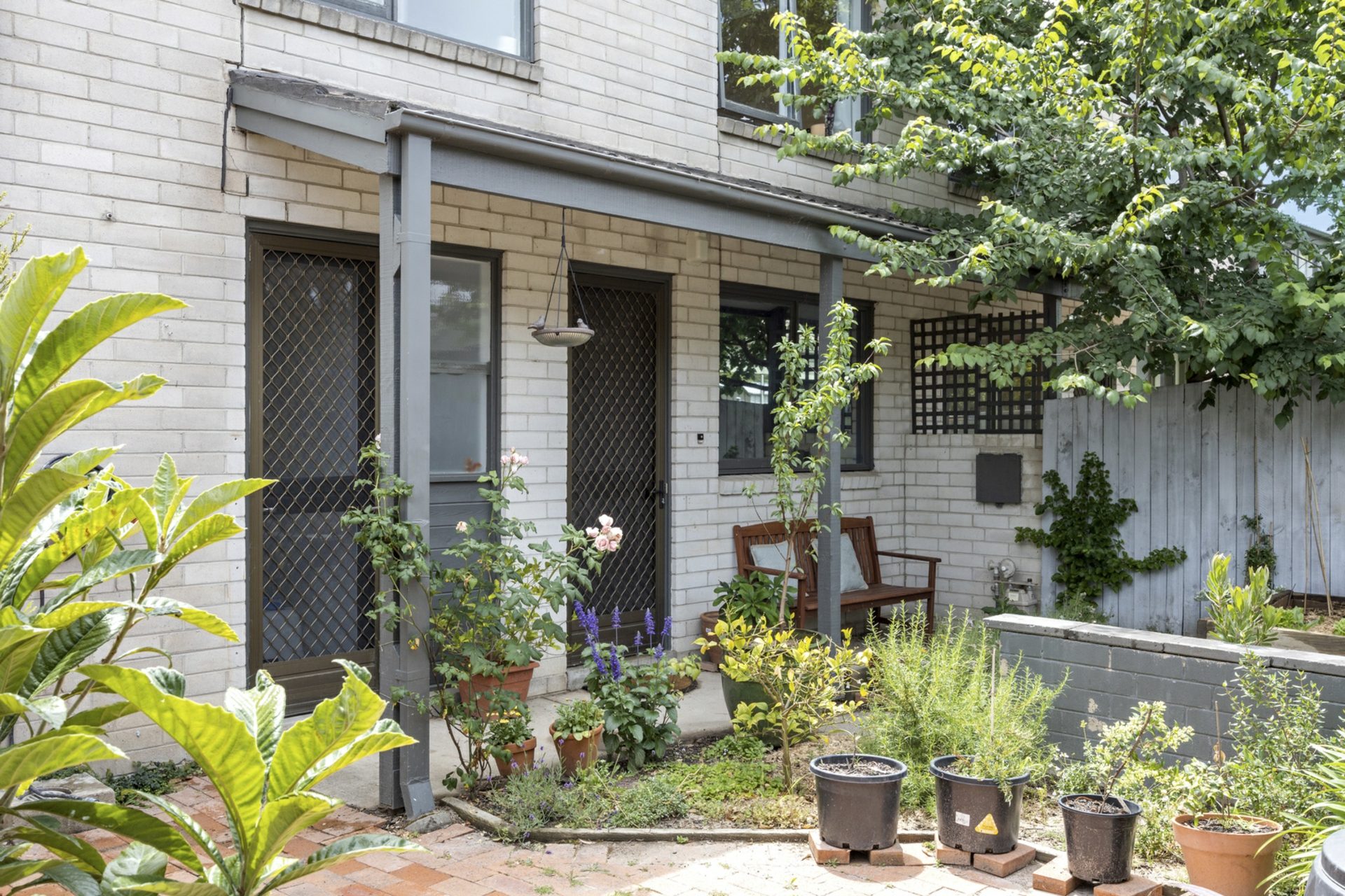 43 Goodenia Street, RIVETT