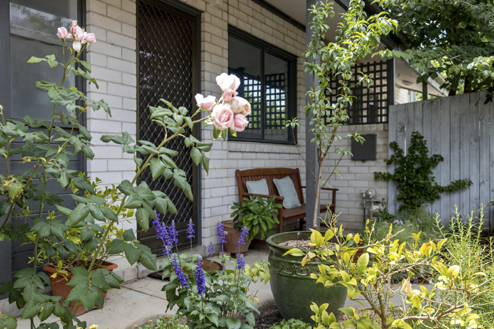 43 Goodenia Street, RIVETT