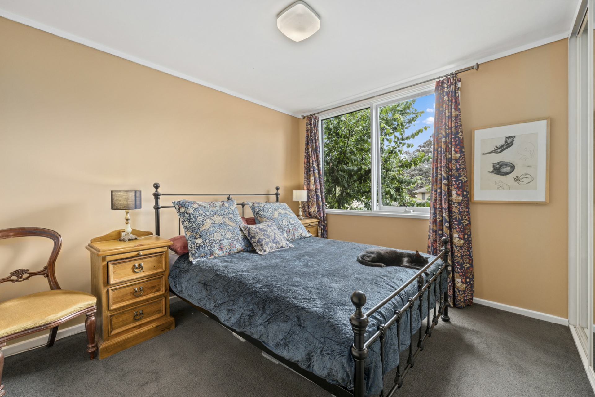 43 Goodenia Street, RIVETT
