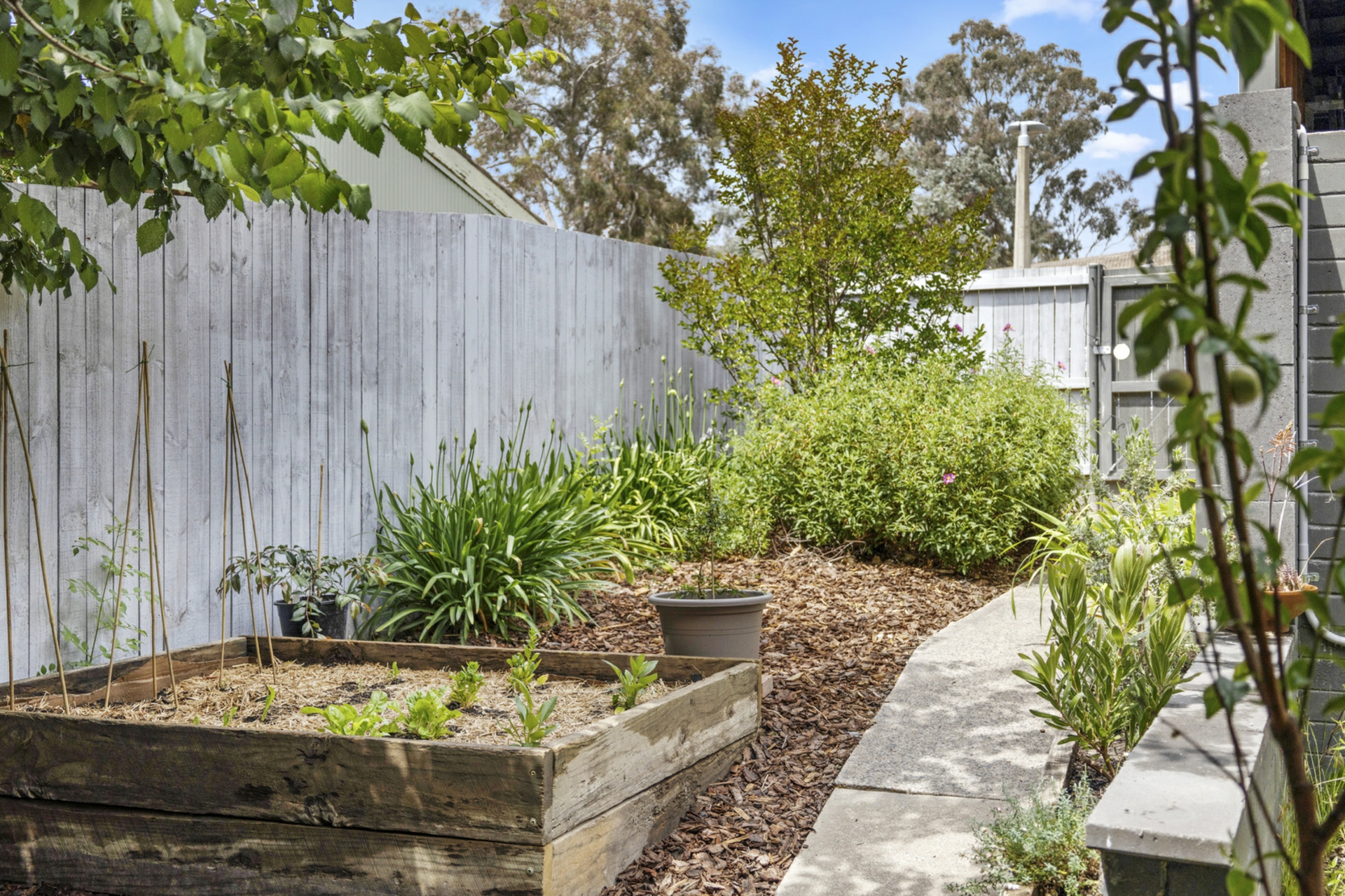 43 Goodenia Street, RIVETT