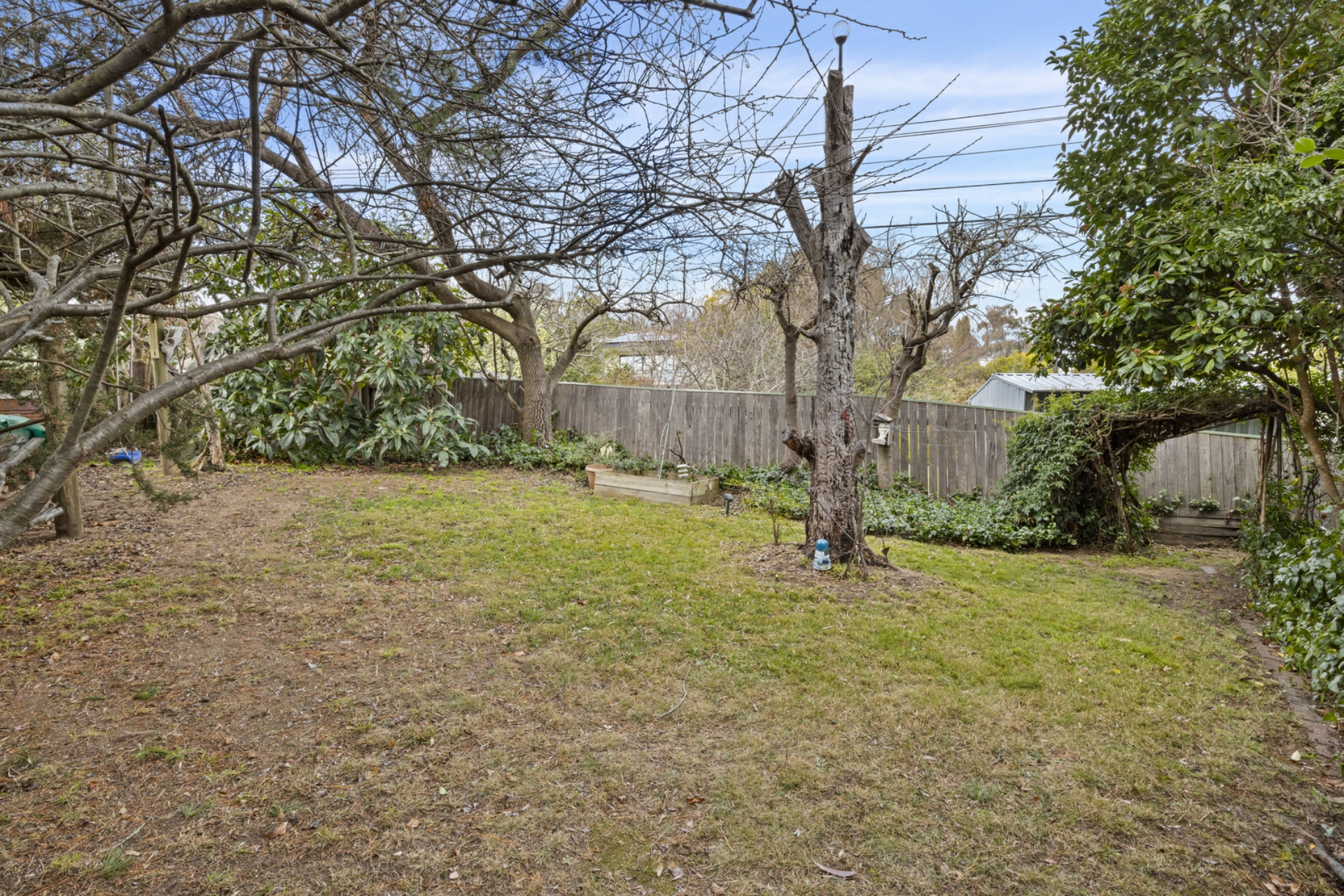 31 Spafford Crescent, FARRER