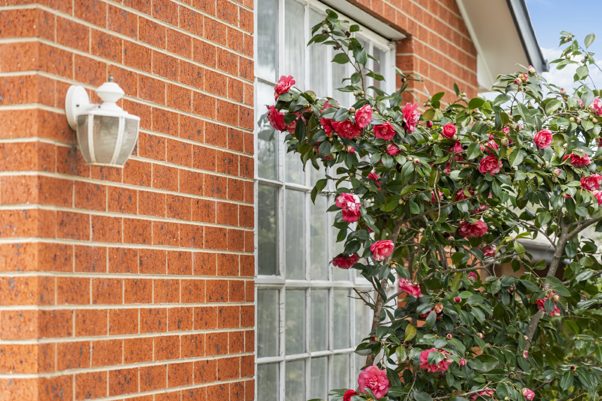 37 Jemalong Street, DUFFY