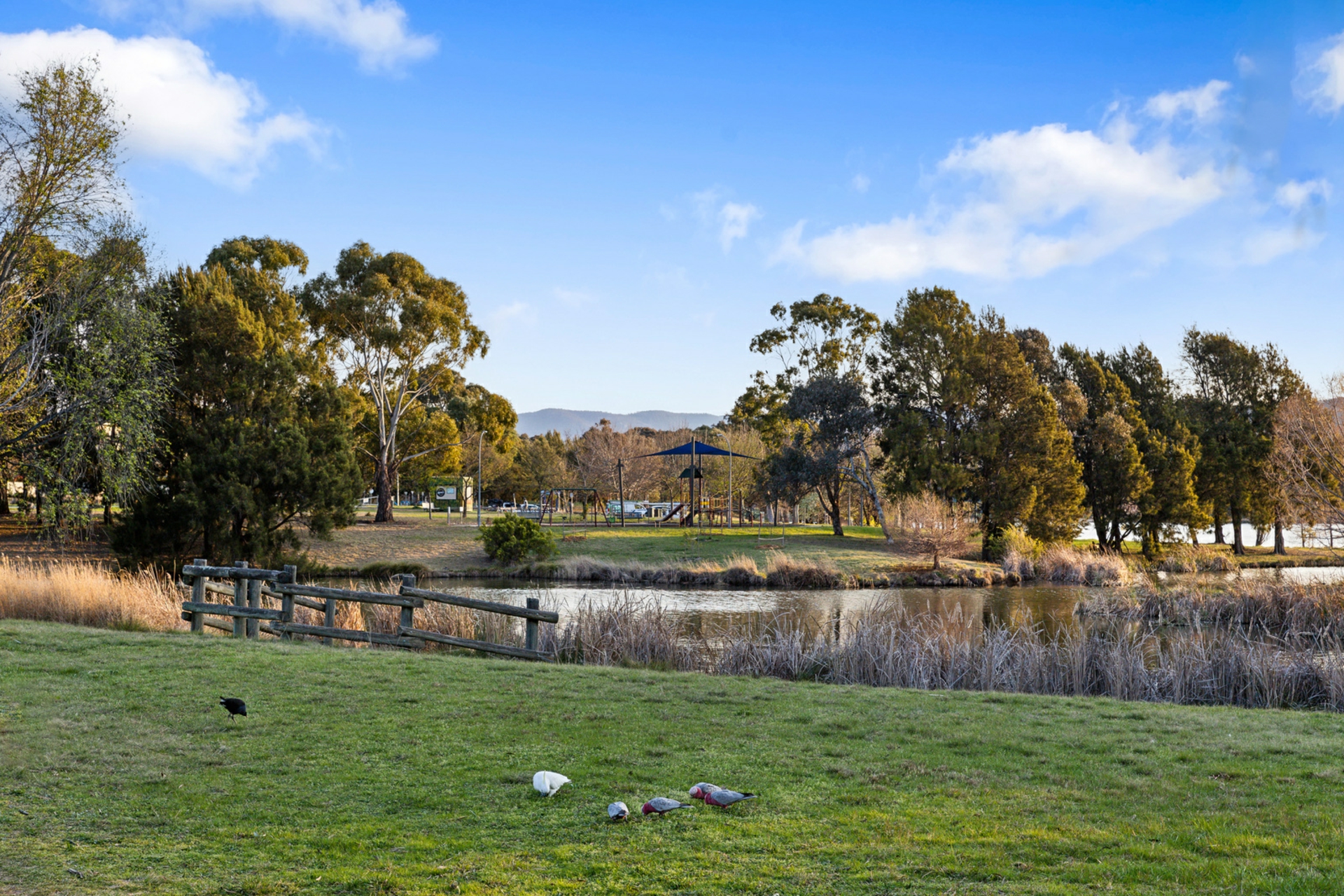 3/113 Mortimer Lewis Drive, GREENWAY