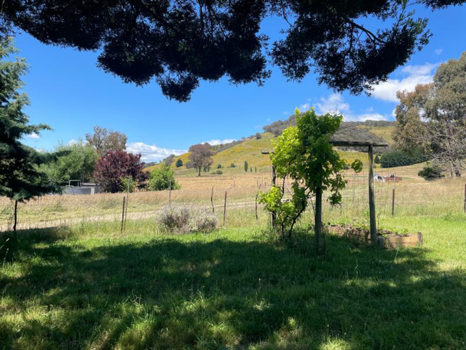 605 Mountain Creek Road, URIARRA