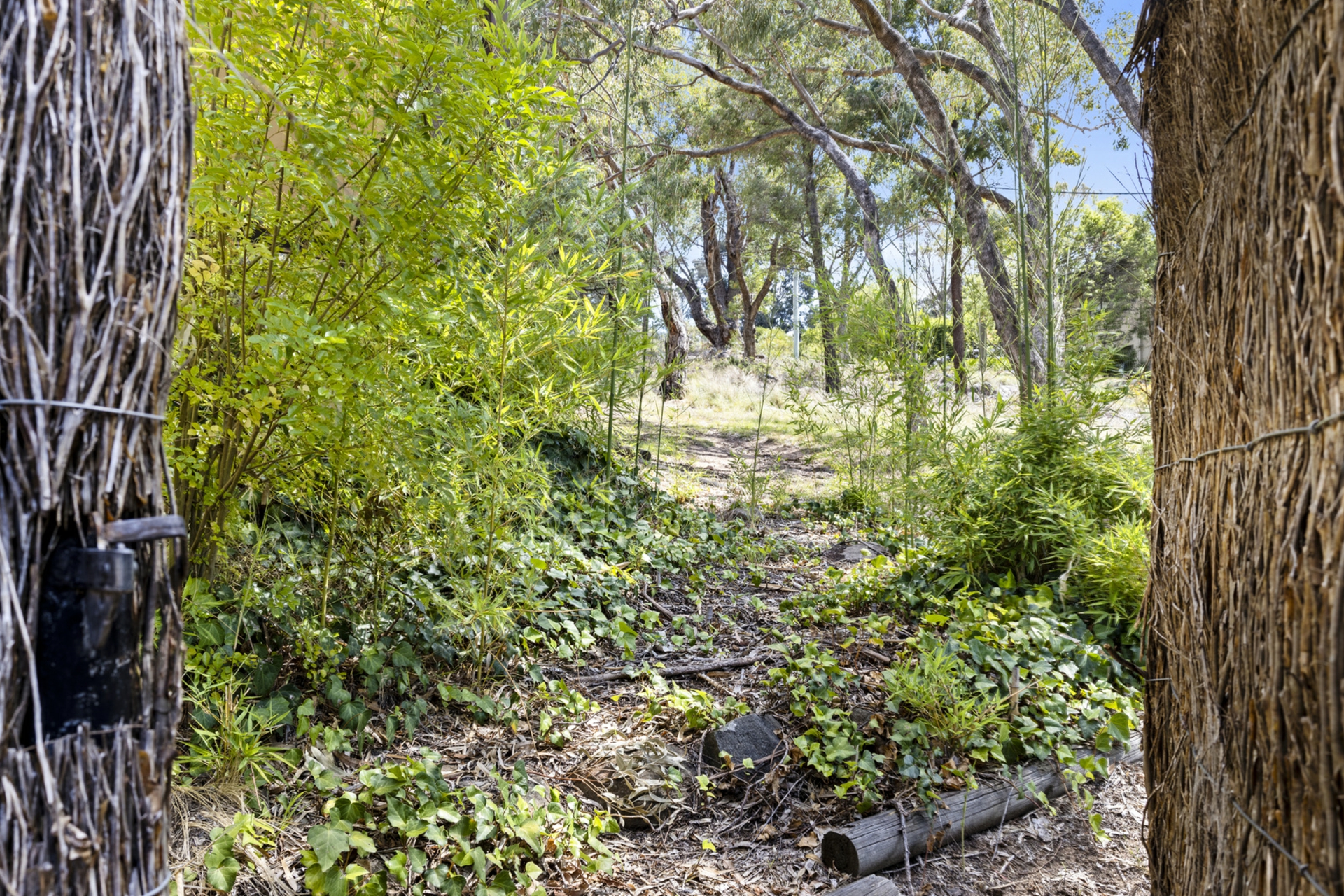 6 Prior Place, FARRER