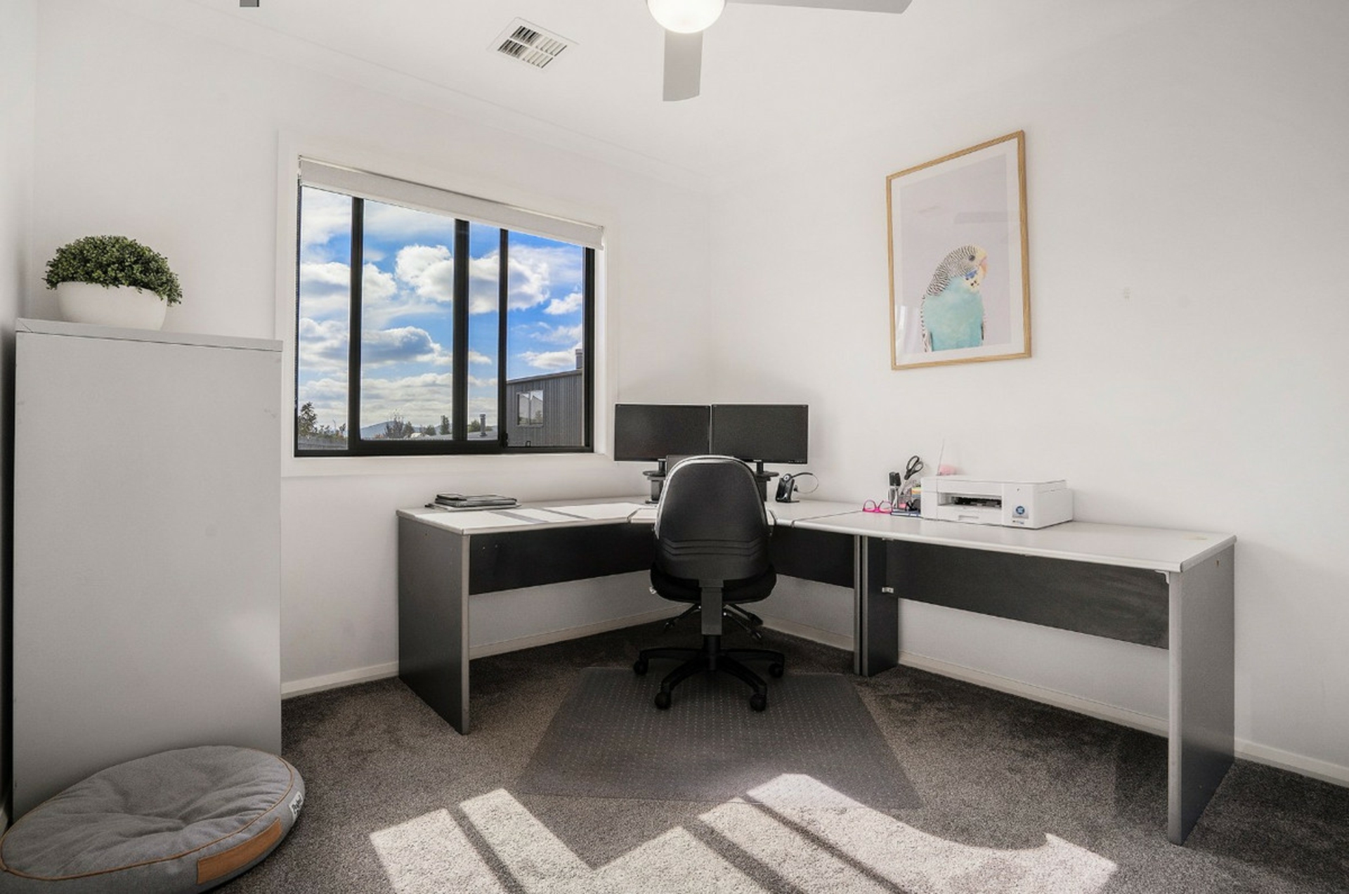 5 Joan Street — photo 15 of 27