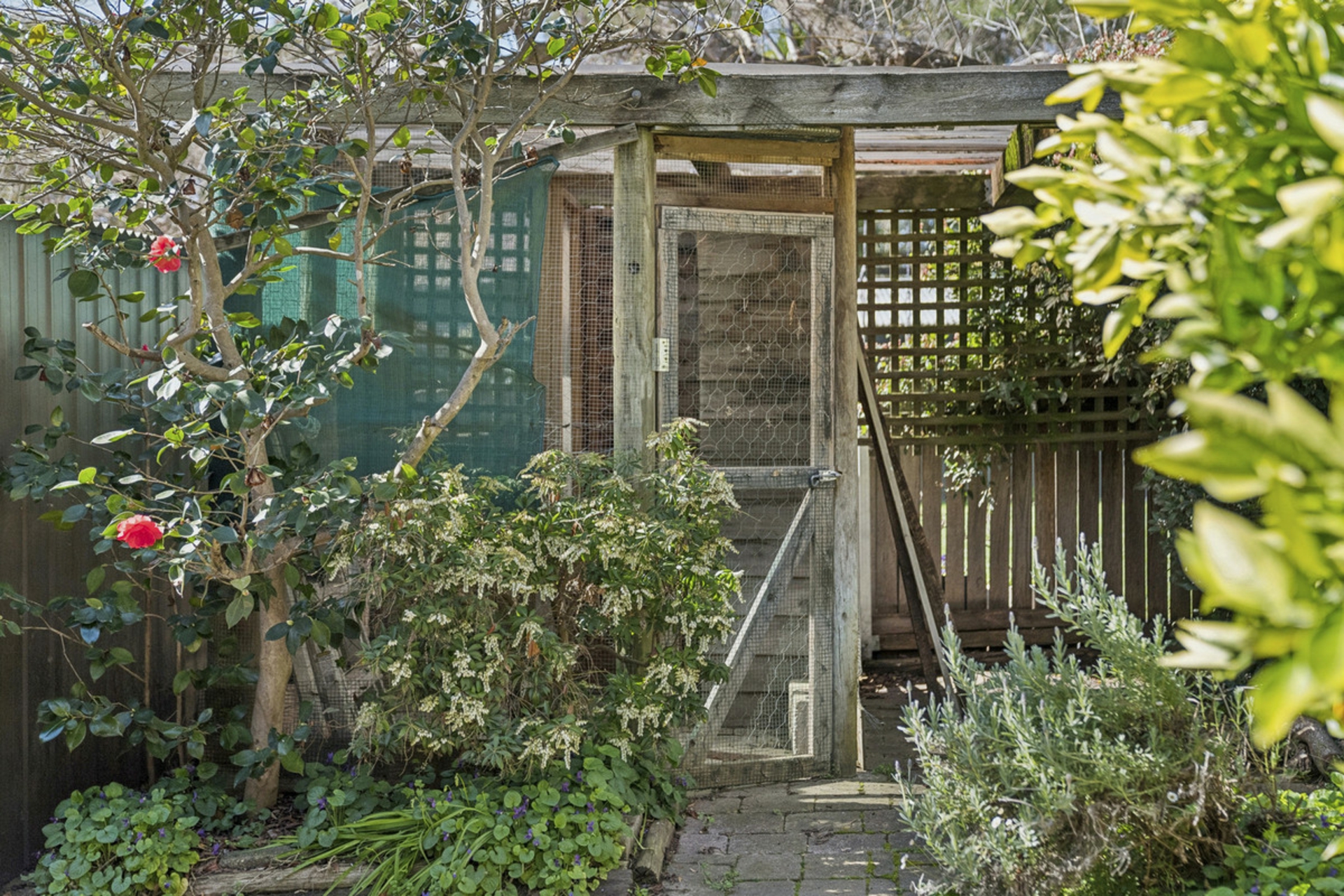 29 Blackwood Terrace — photo 29 of 30