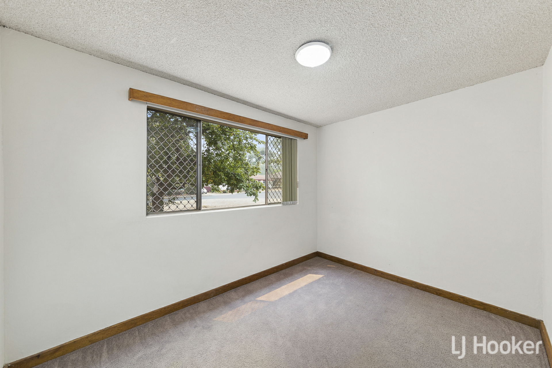 16/127 Rivett Street — photo 6 of 7