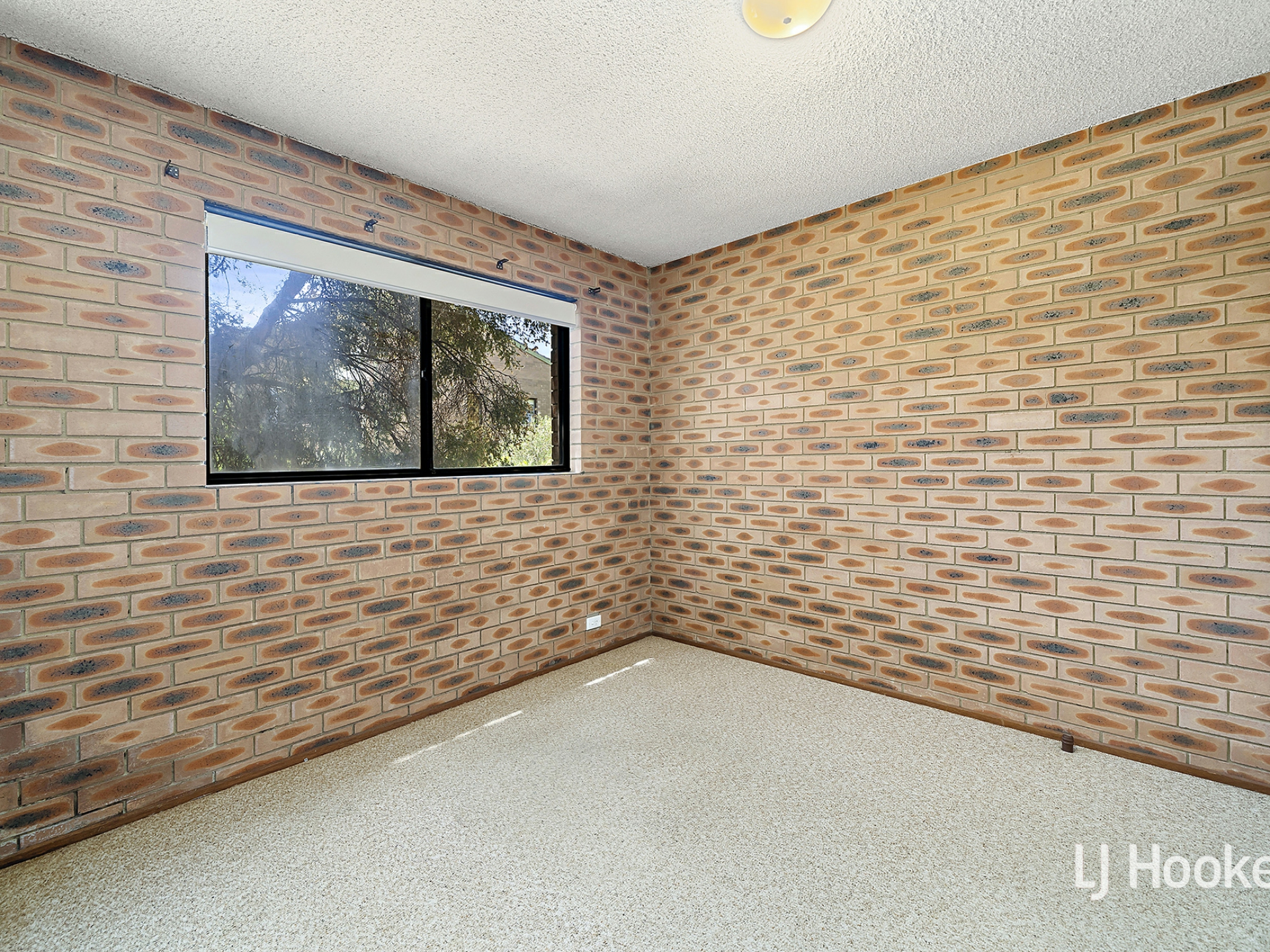 1/31 Moulden Court, BELCONNEN