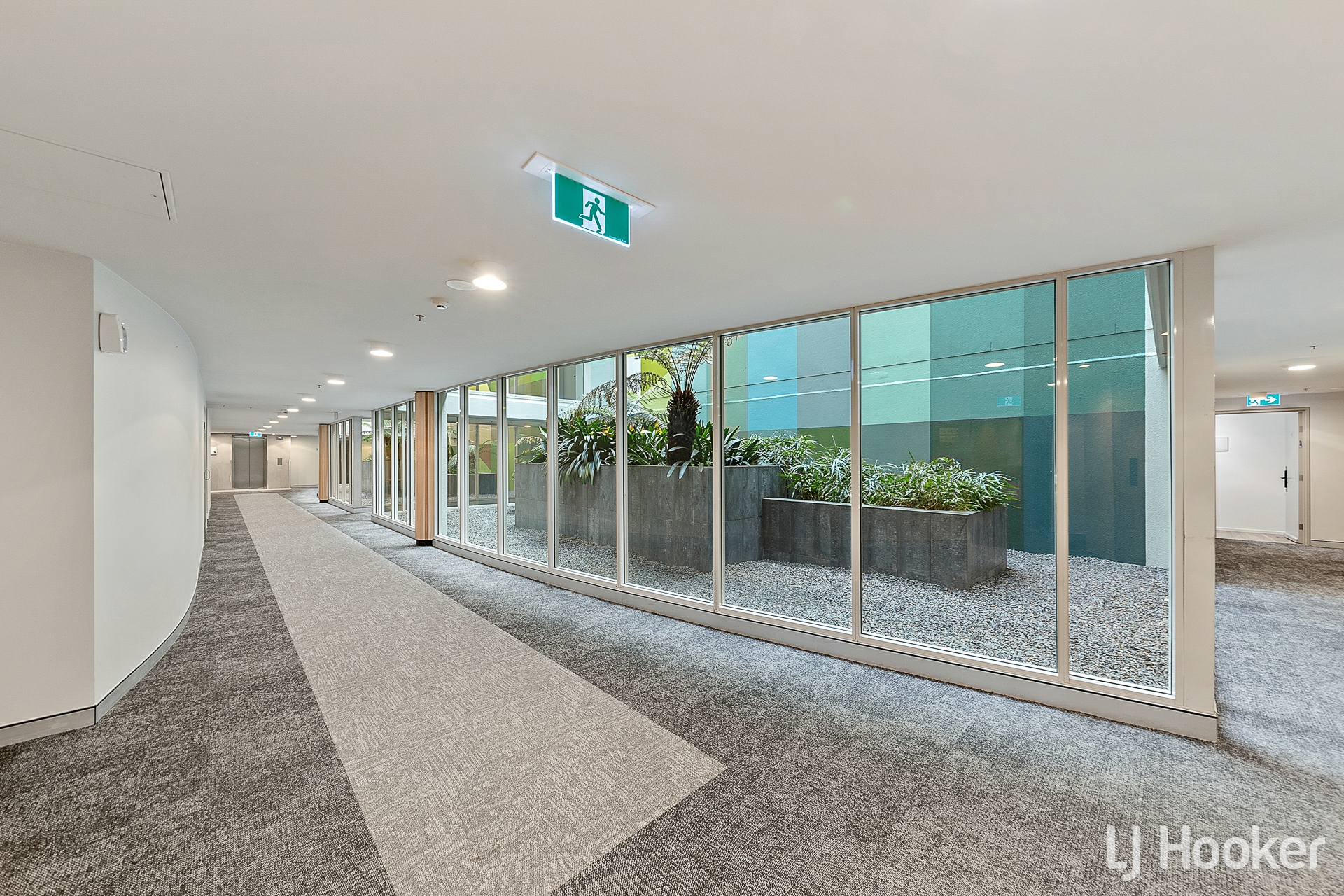 207/100 Northbourne Avenue, BRADDON