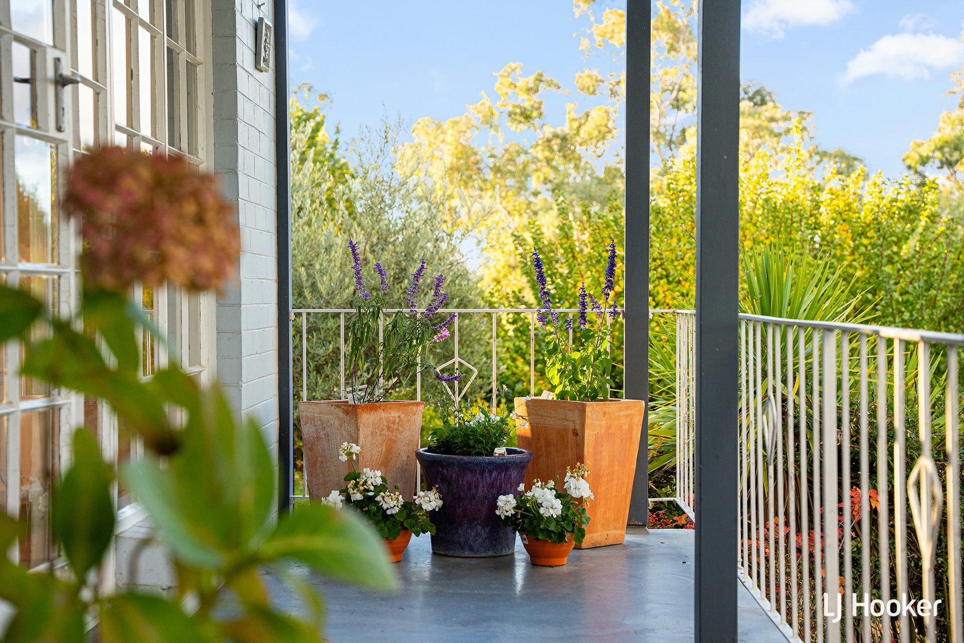39 Lachlan Street, MACQUARIE