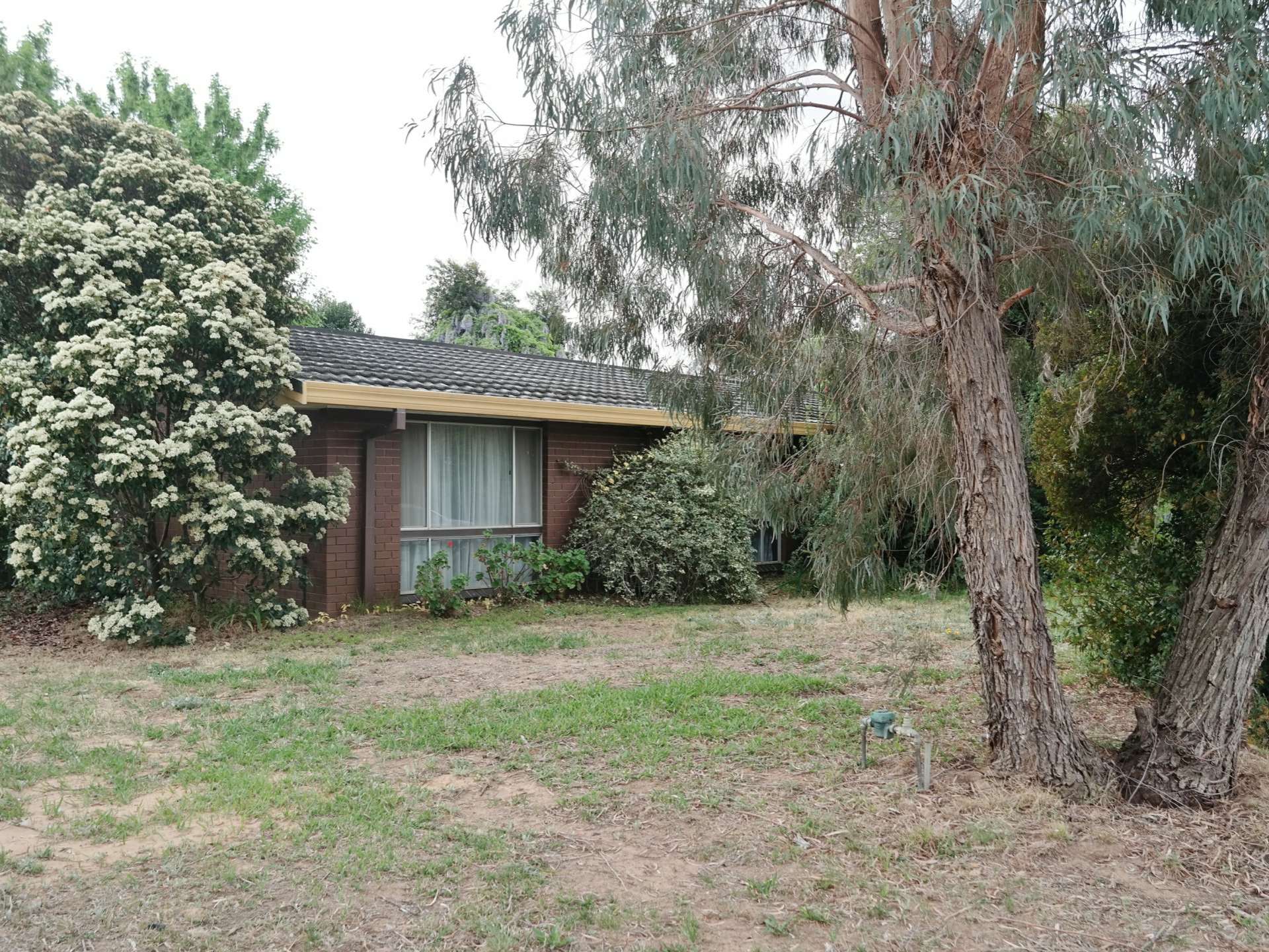 80 Regent Street, Moama