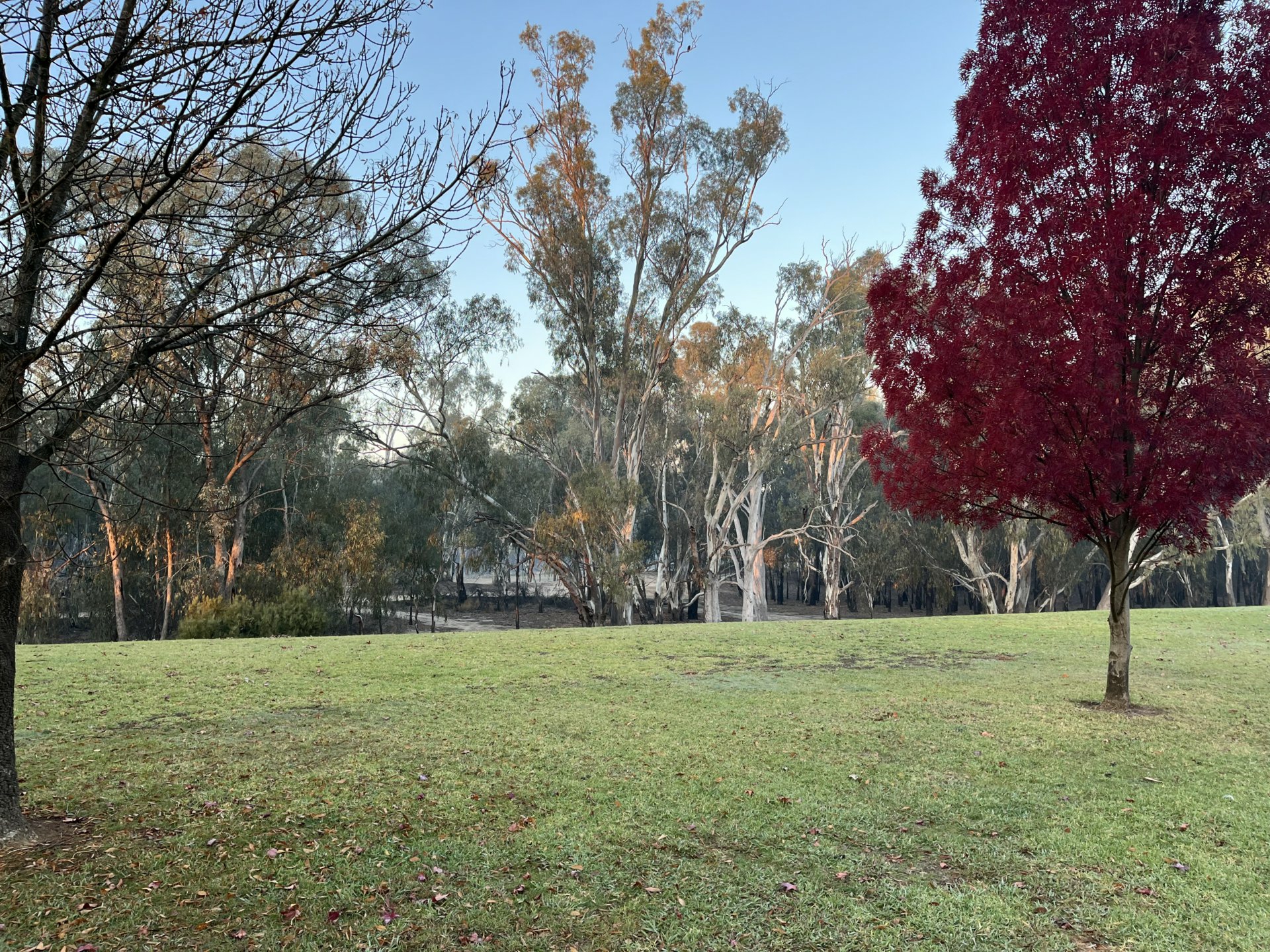 5 Maidensmith Drive, MOAMA