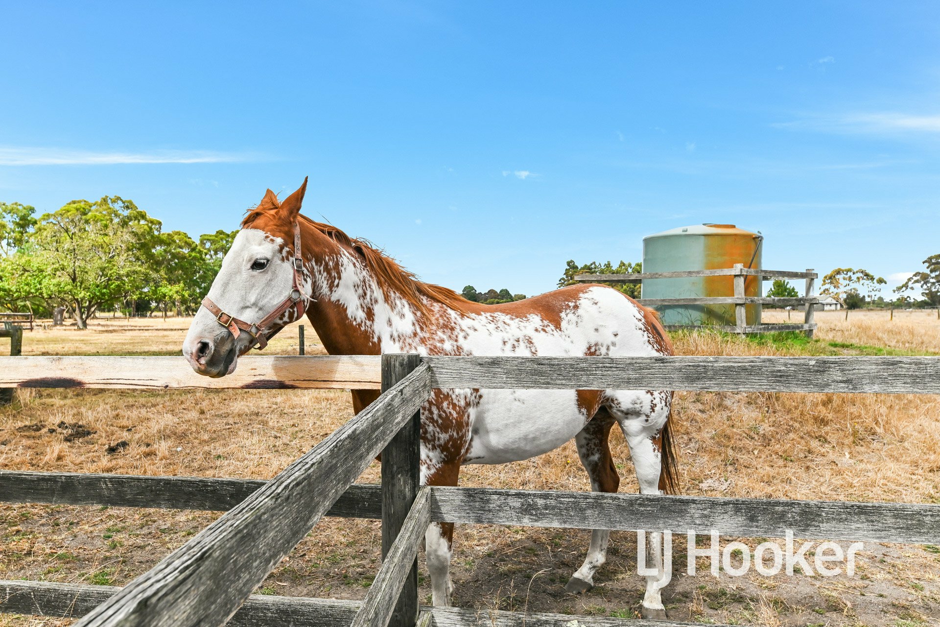 3610 Ballarto Road, BAYLES