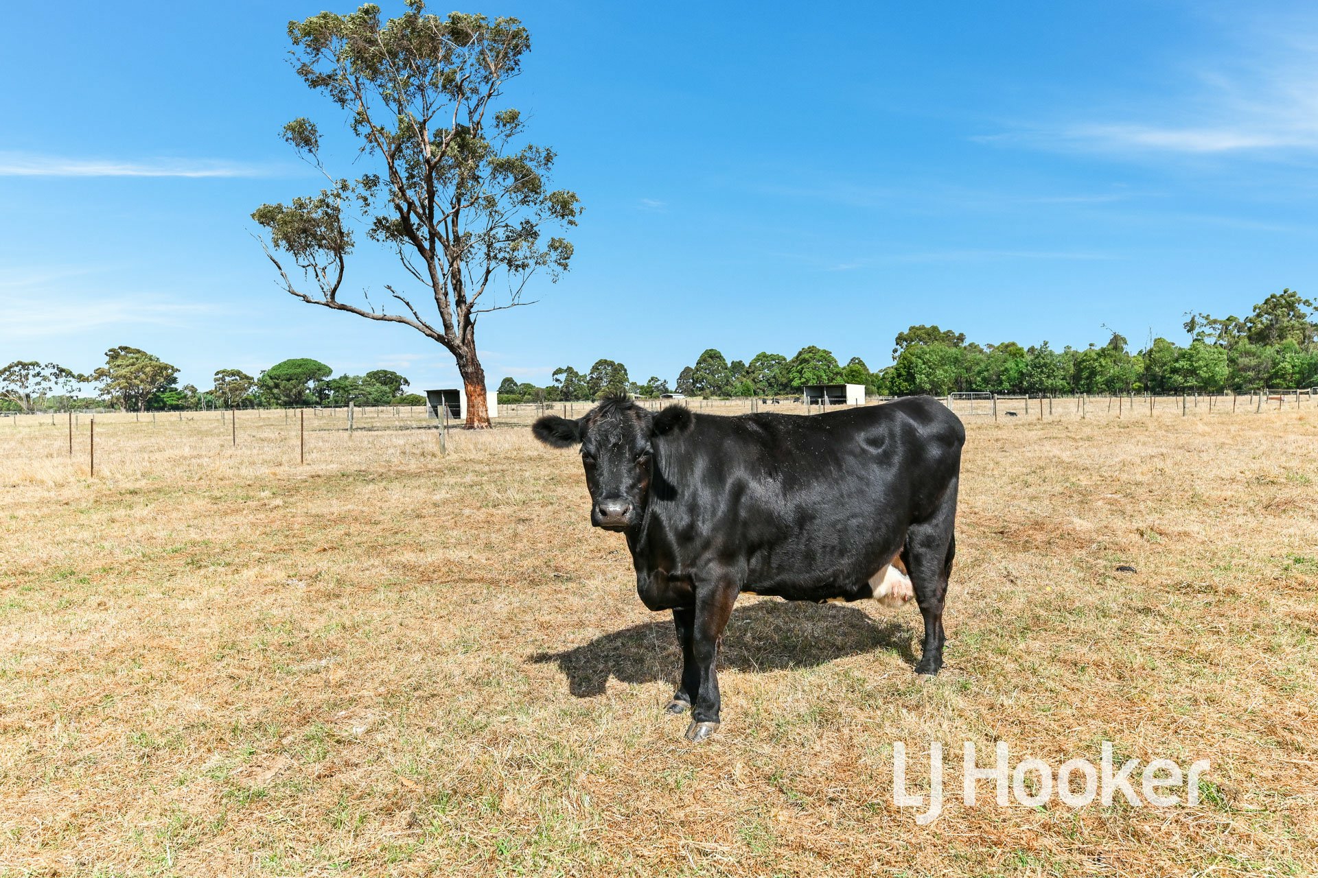3610 Ballarto Road, BAYLES