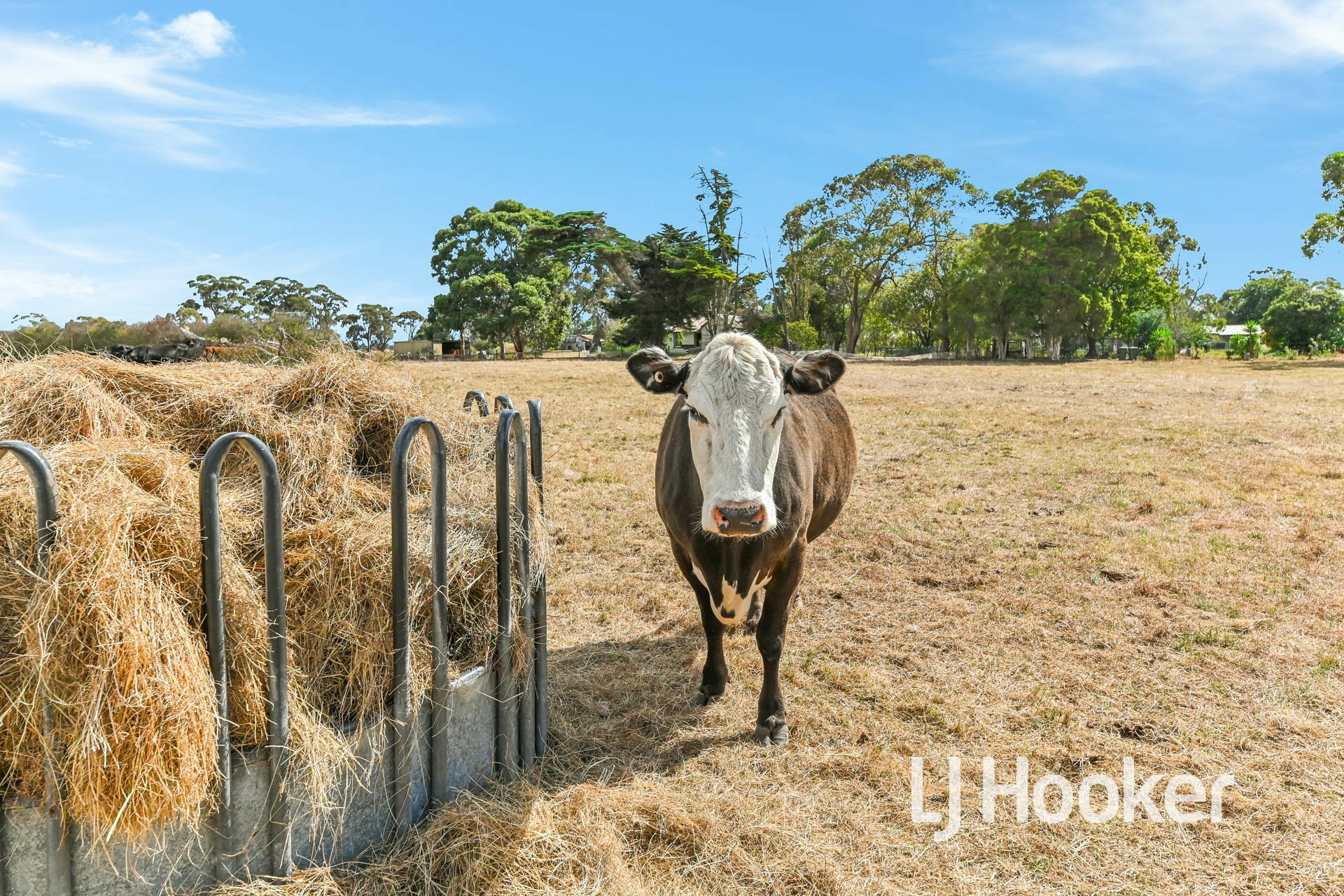 3610 Ballarto Road, BAYLES