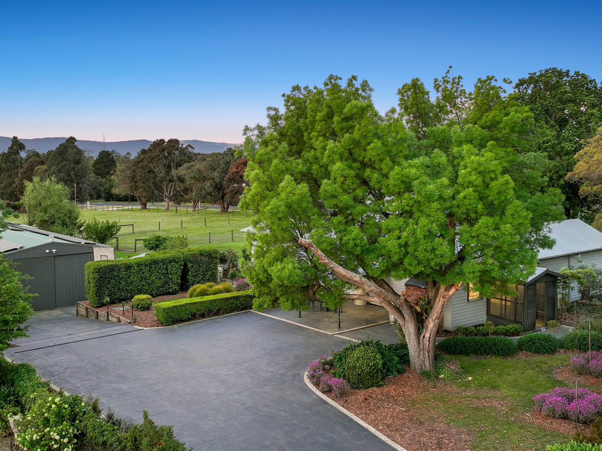 31 Wattletree Road — photo 3 of 28