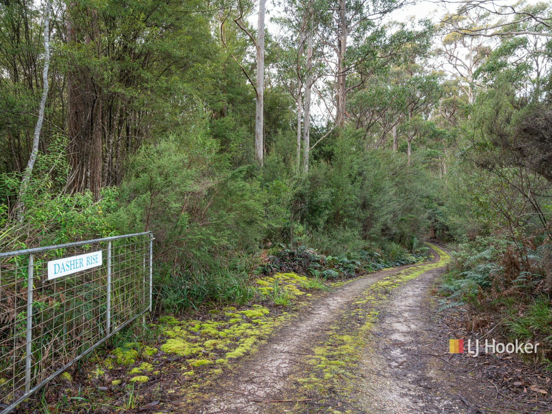 78 Cethana Road, CETHANA