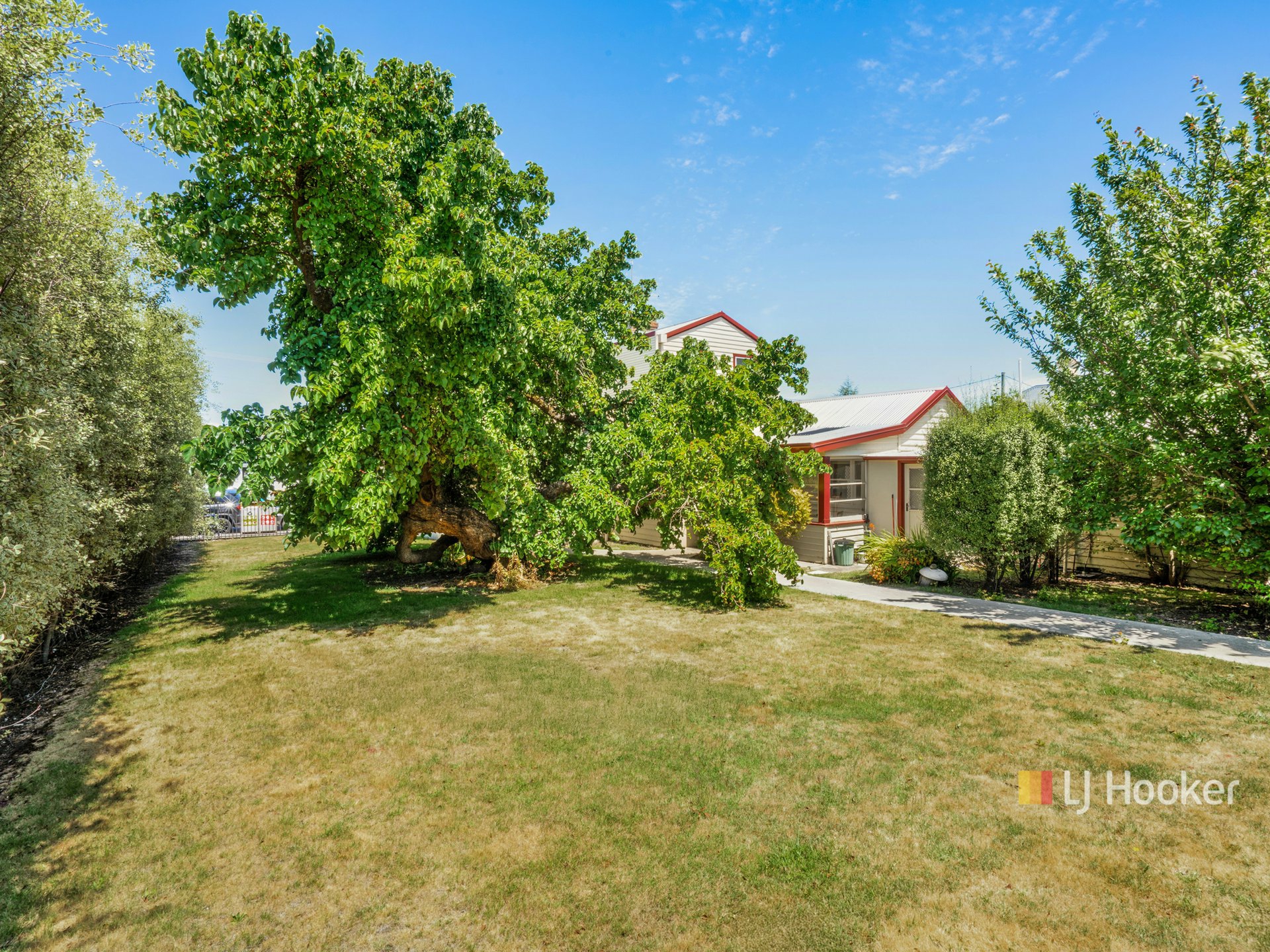 137 Gilbert Street — photo 17 of 22