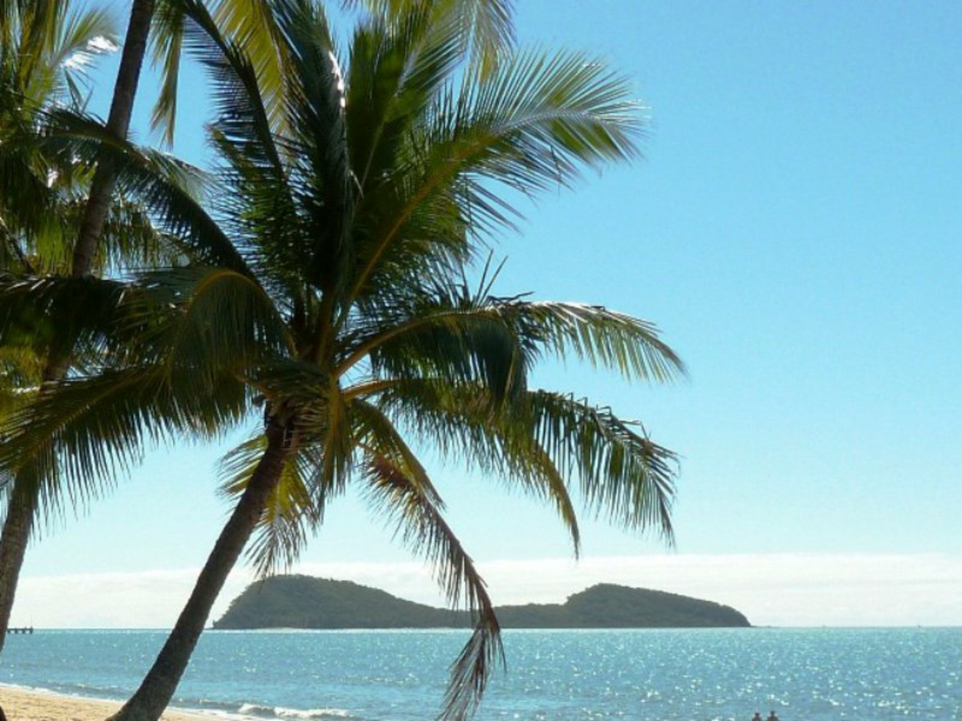 109/305-341 Coral Coast Drive, PALM COVE
