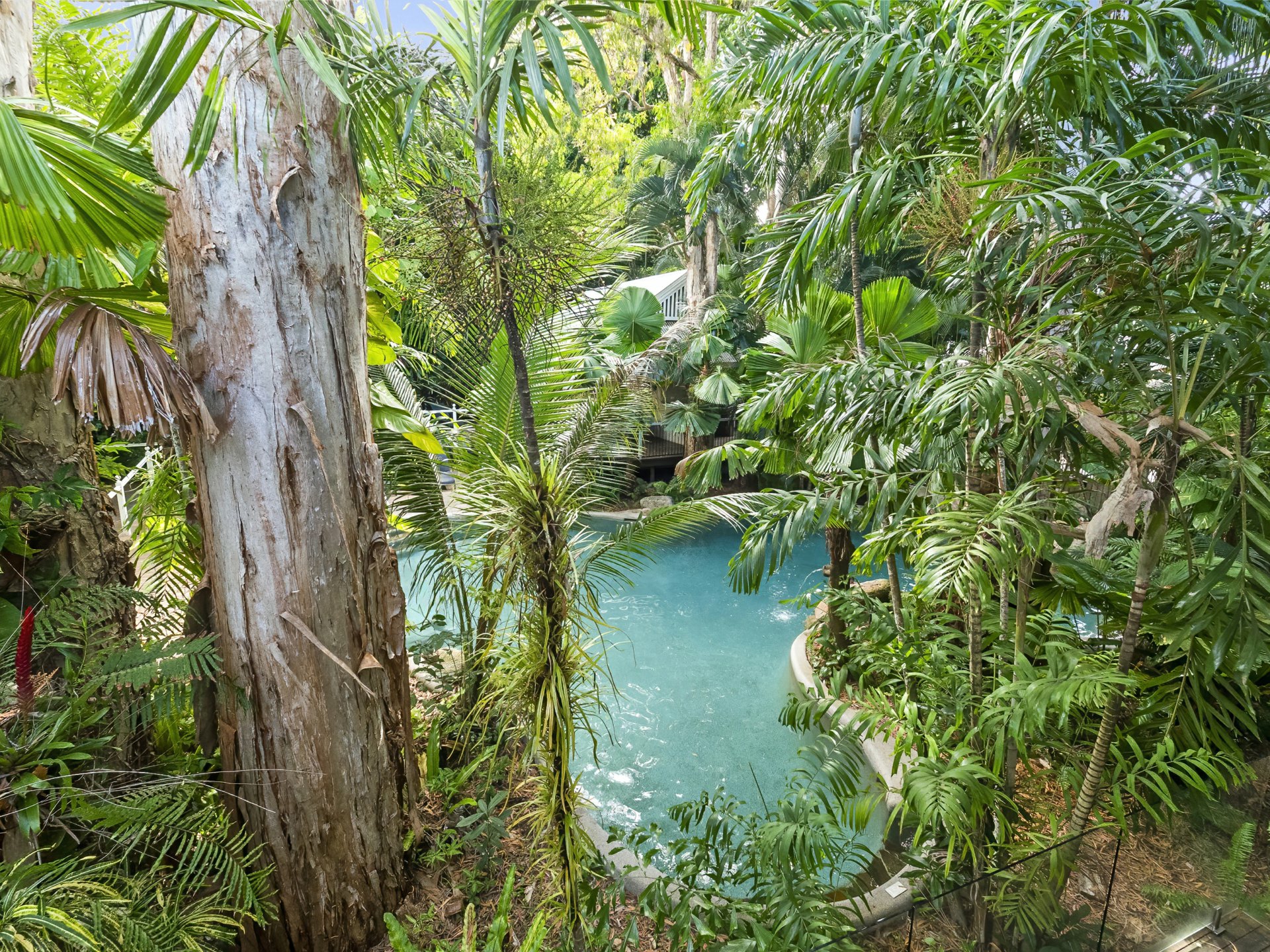209/6-8 Triton Street, PALM COVE