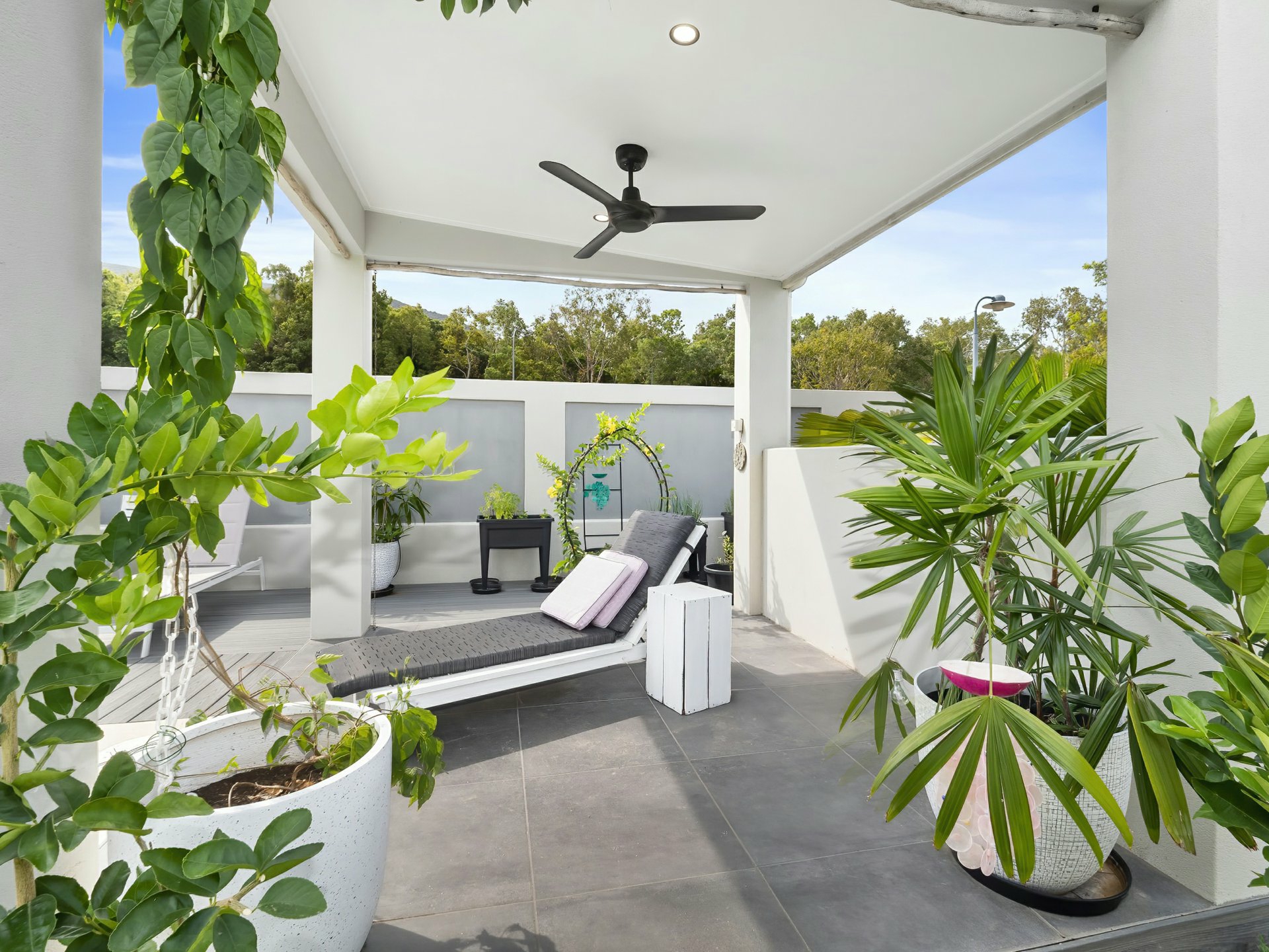 3/6781 Argentea Boulevard Palm Cove QLD House for Sale LJ Hooker