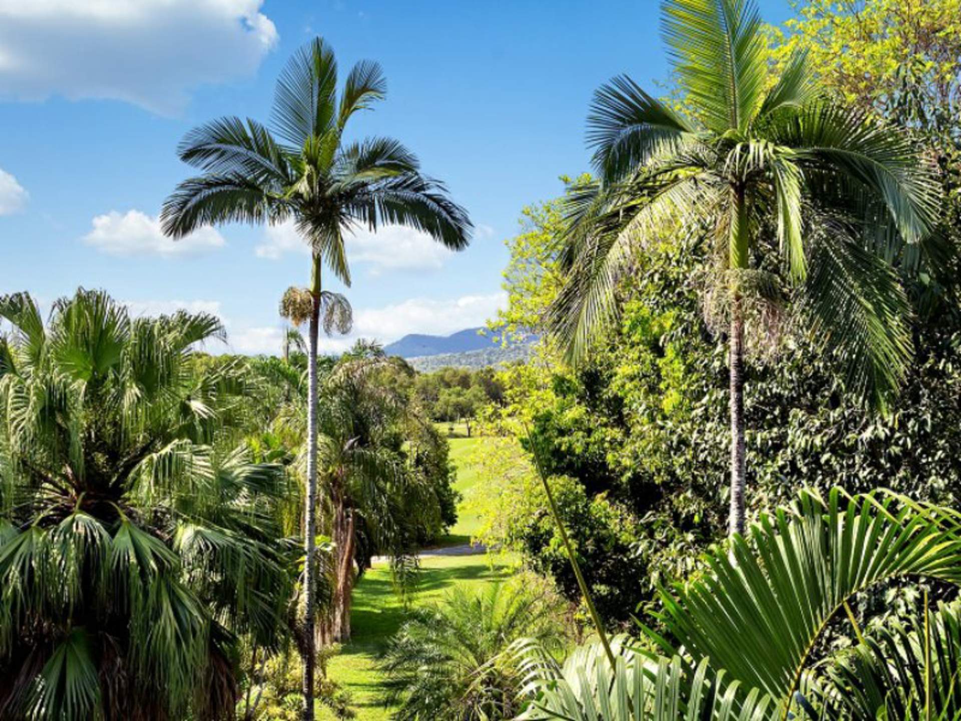 Unit 337a/305-341 Coral Coast Drive, PALM COVE