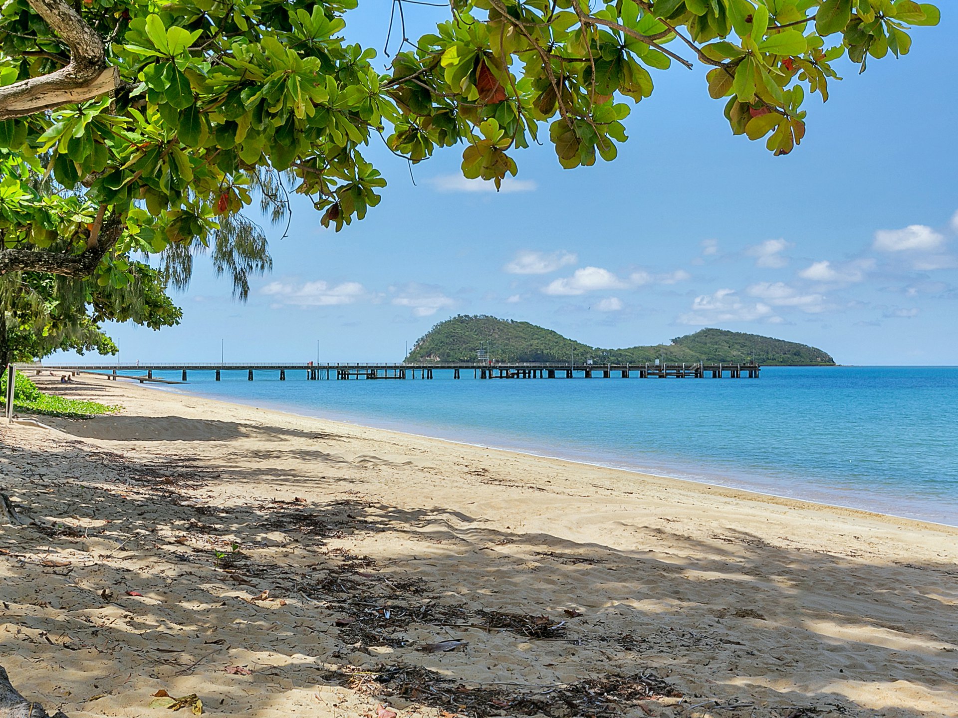 89 Cedar Road, PALM COVE