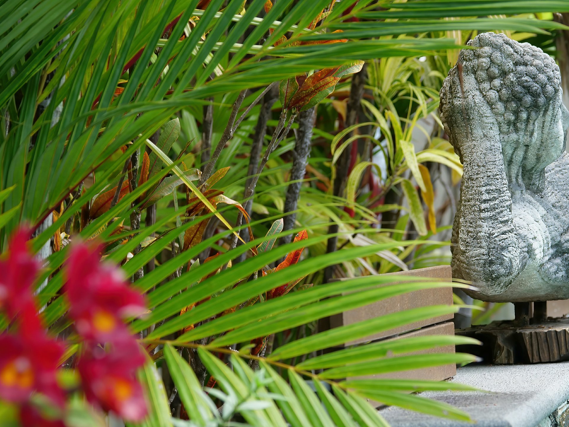 13 Lillian Road, PALM COVE