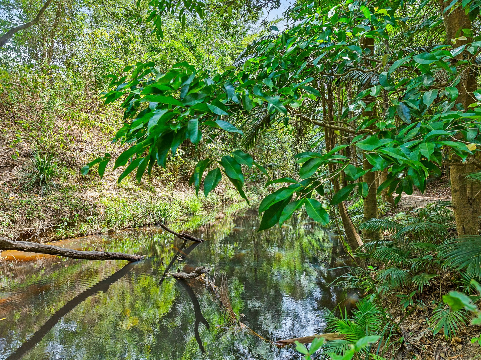 79 Oak Forest Road, KURANDA