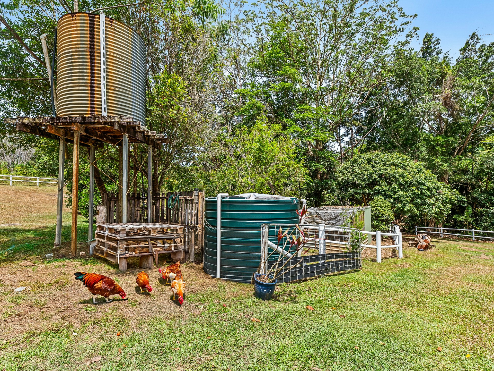 79 Oak Forest Road, KURANDA