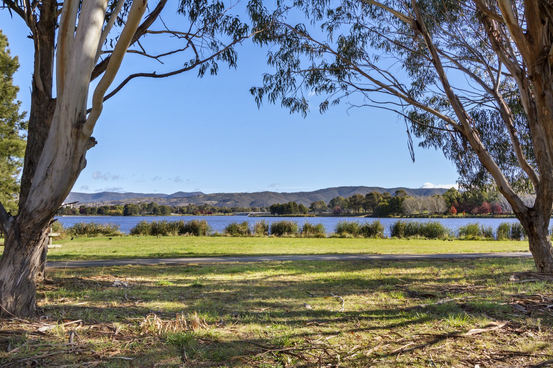 67 Mortimer Lewis Drive, GREENWAY