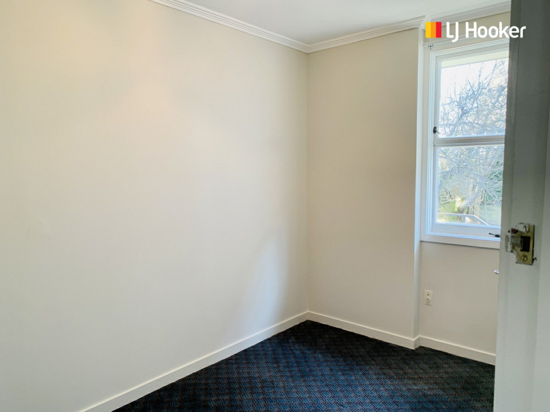 8/70 London Street, DUNEDIN CENTRAL