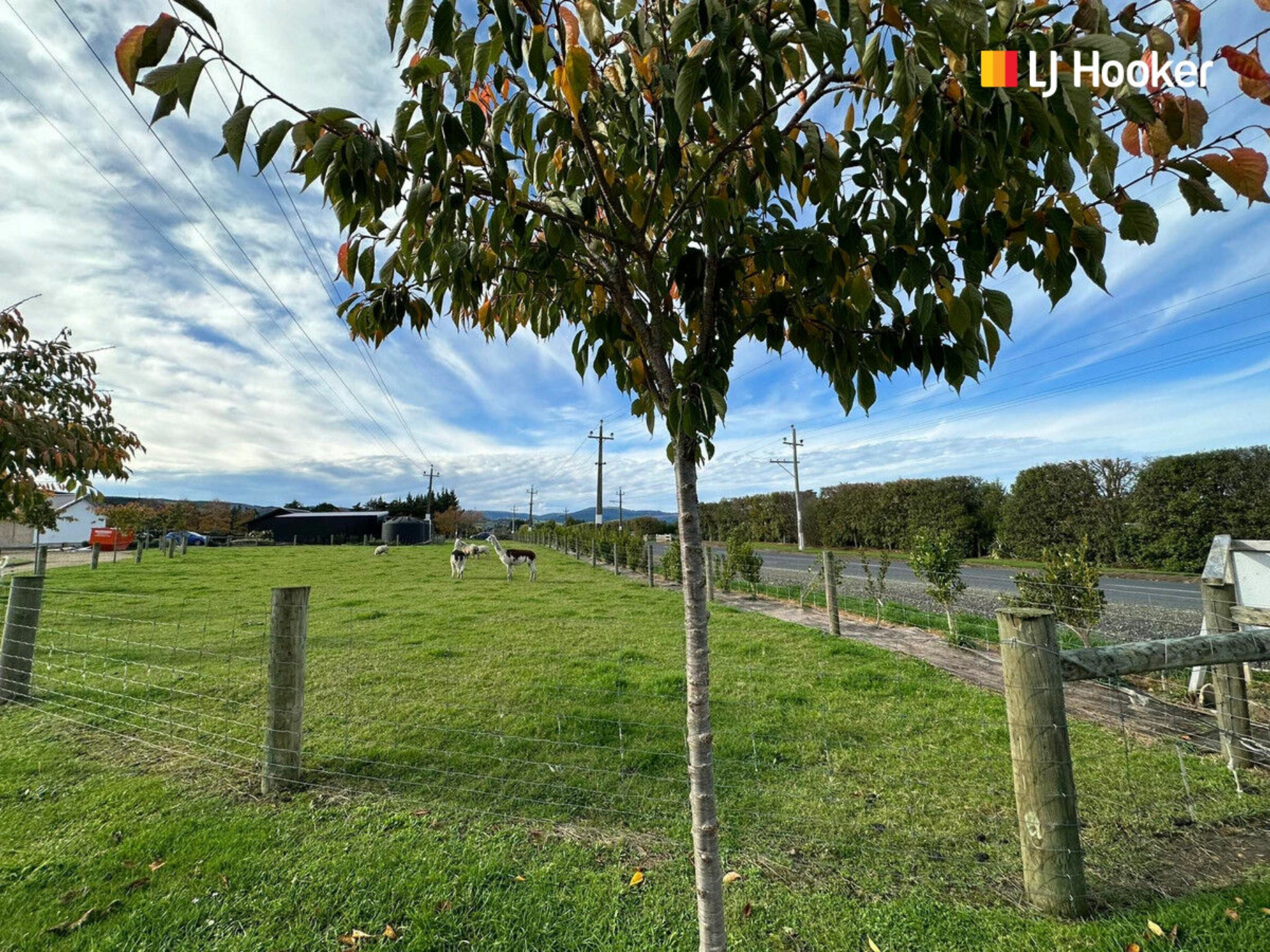 A/240 Tirohanga Road, MOSGIEL