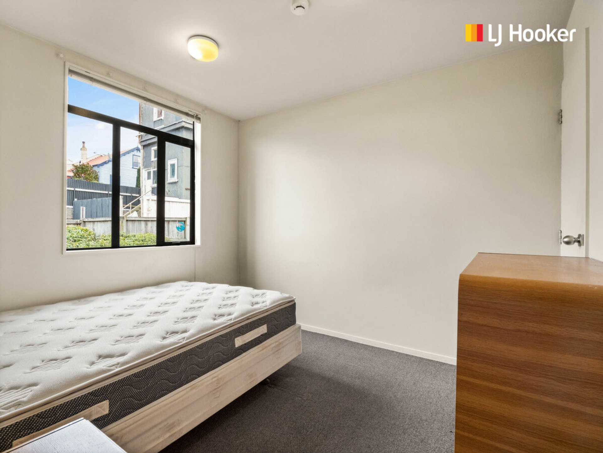 115 & 115A Carroll Street, DUNEDIN CENTRAL