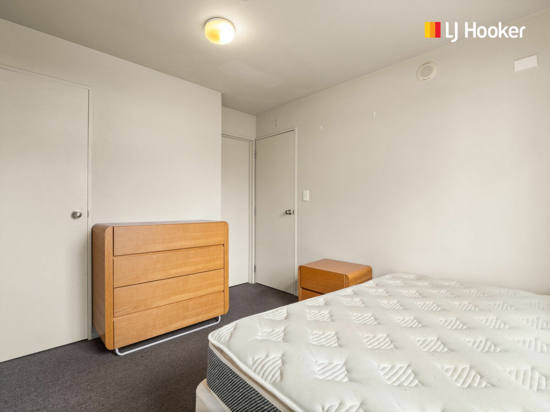115 & 115A Carroll Street, DUNEDIN CENTRAL