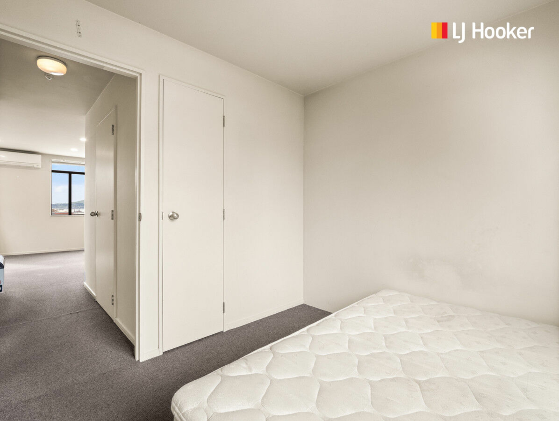 115 & 115A Carroll Street, DUNEDIN CENTRAL
