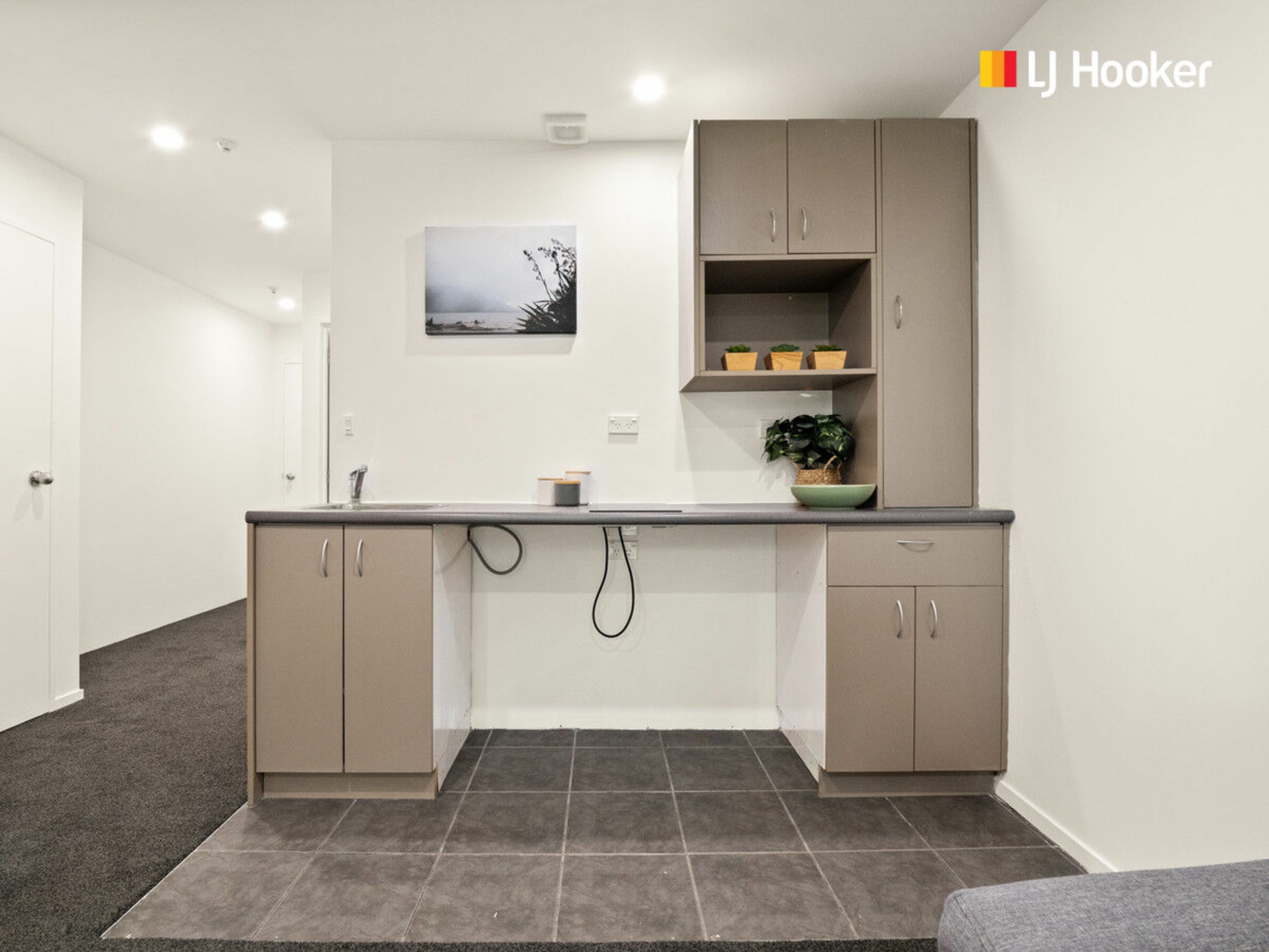 115 & 115A Carroll Street, DUNEDIN CENTRAL