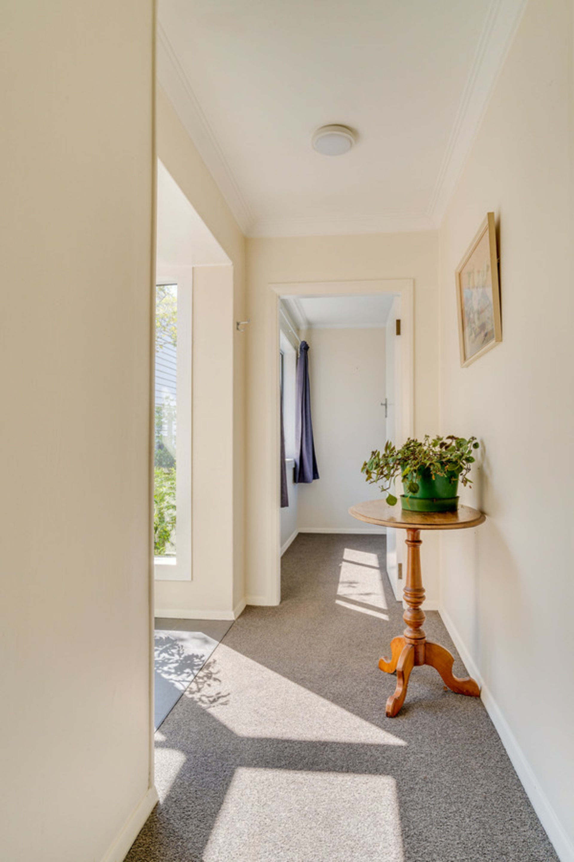 42 Spencer Street, ANDERSONS BAY
