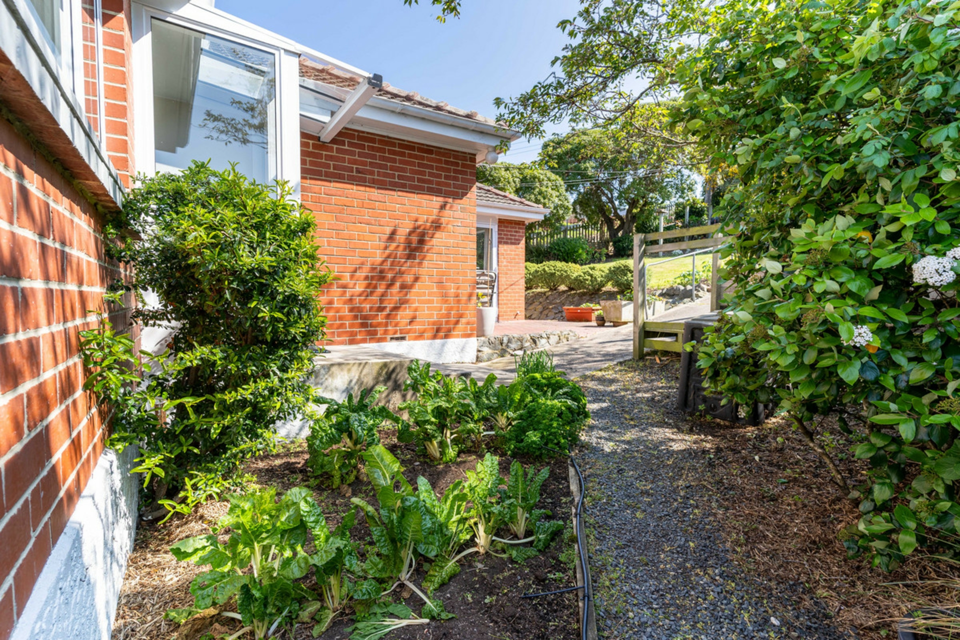 42 Spencer Street, ANDERSONS BAY