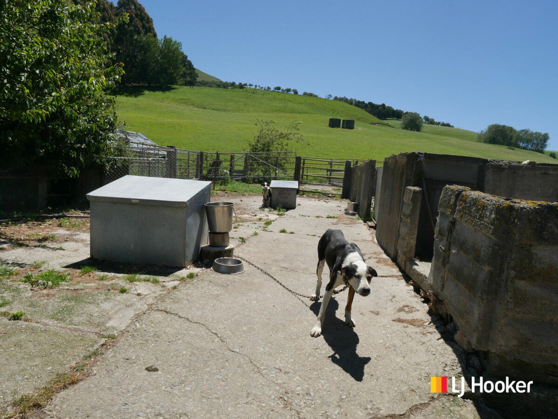 996 Goodwood Road, GOODWOOD