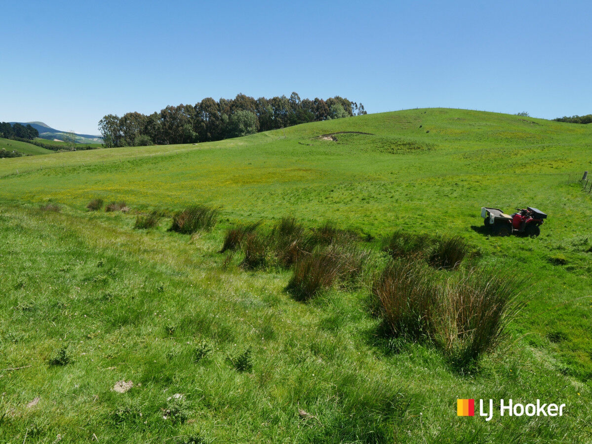 996 Goodwood Road, GOODWOOD