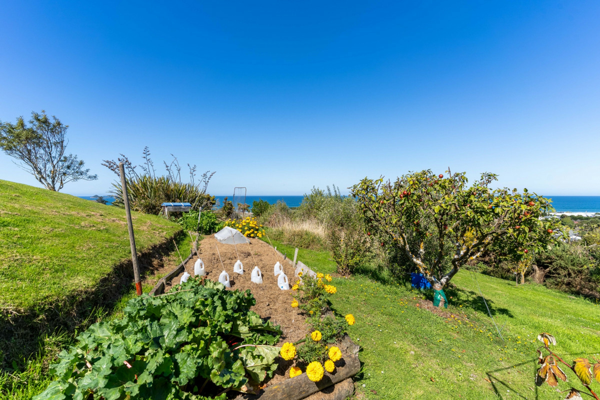 41 McIntosh Road, BRIGHTON