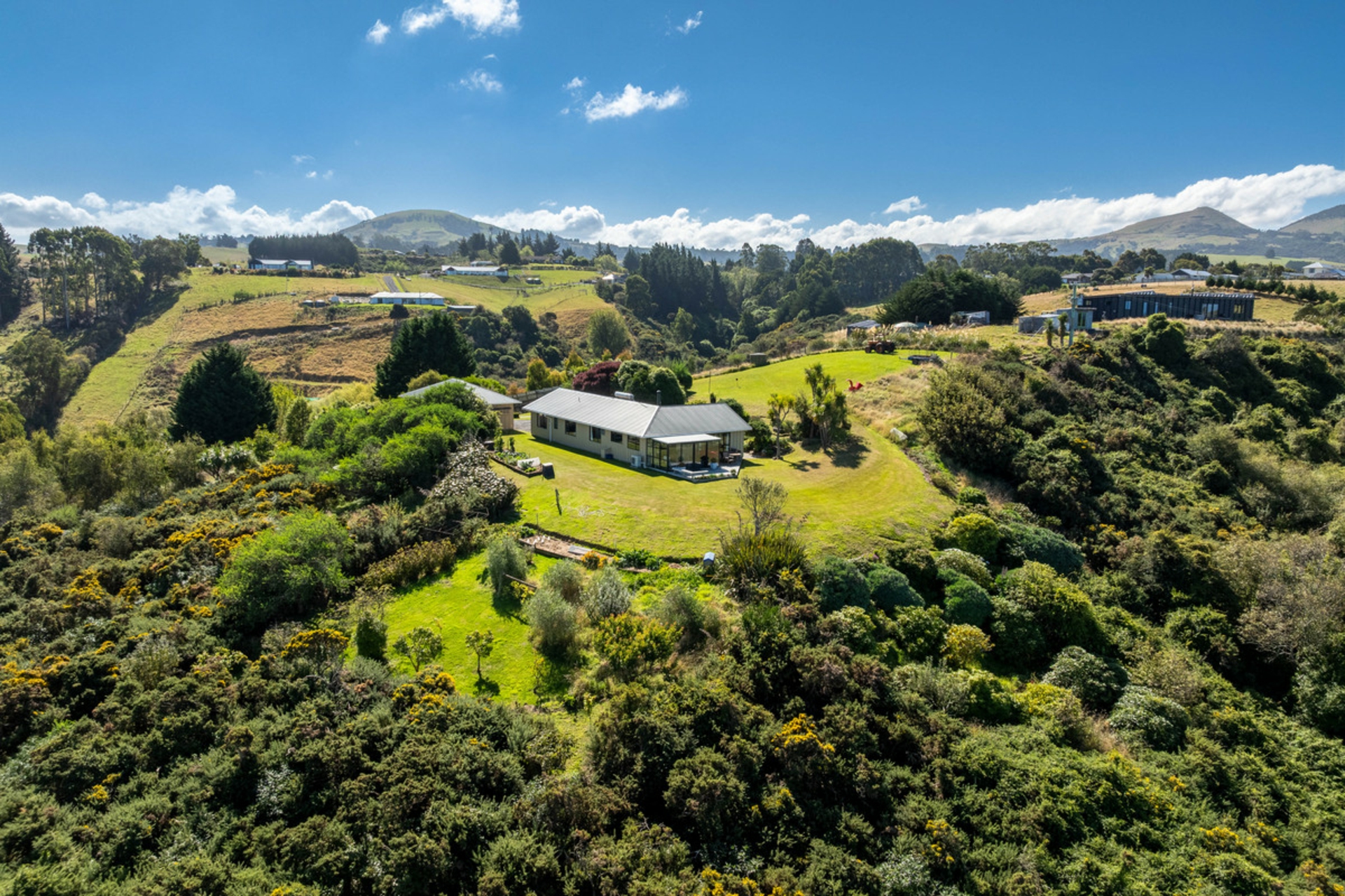 41 McIntosh Road, BRIGHTON
