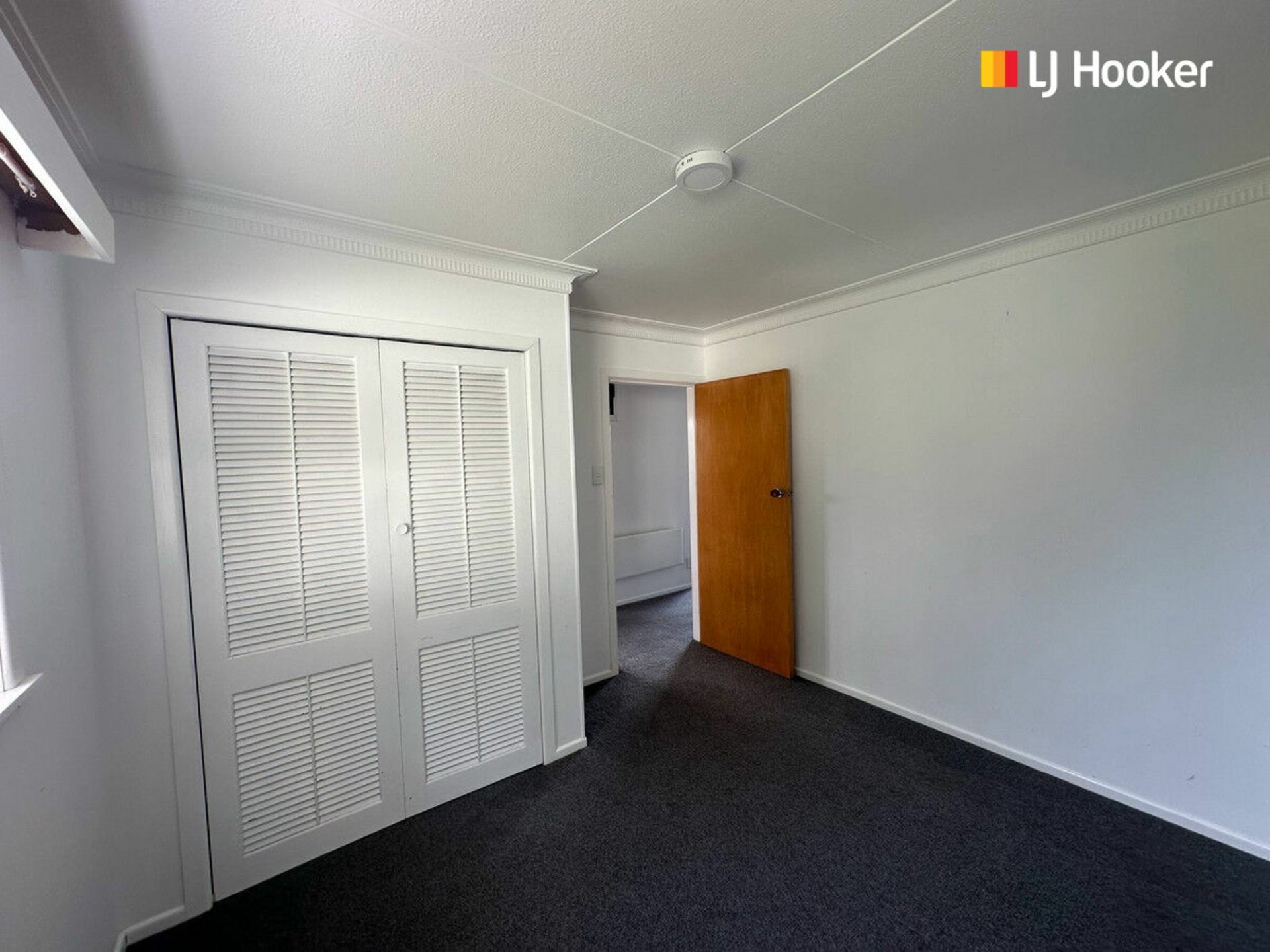 65 Spencer Street, ANDERSONS BAY