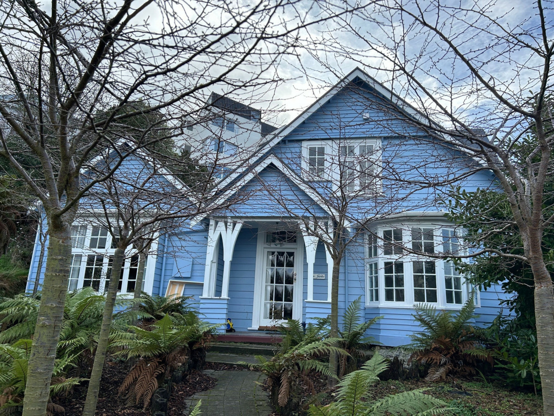 207 York Place, DUNEDIN CENTRAL