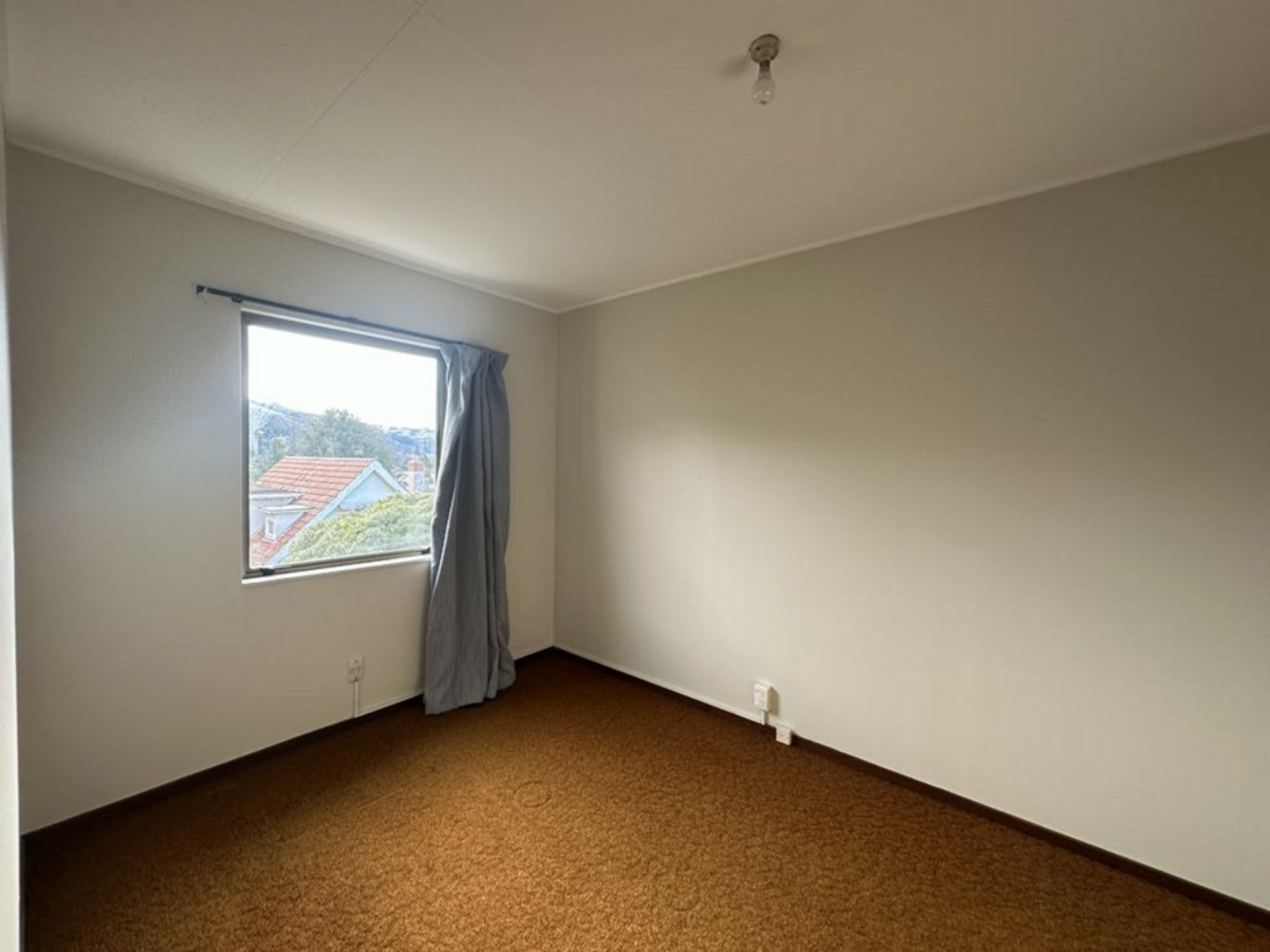11/97 Queen Street, North Dunedin