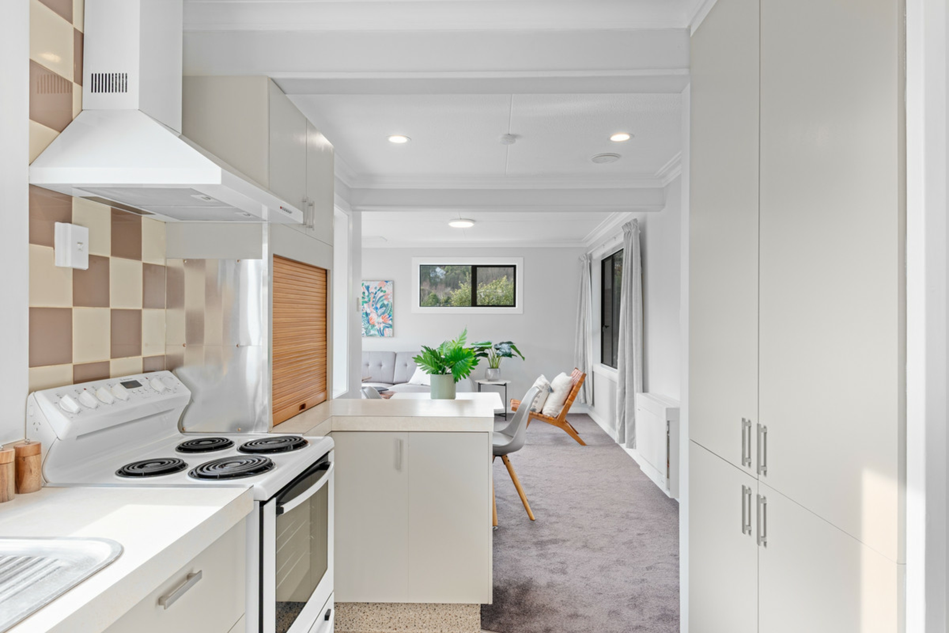 14 Heath Street, ANDERSONS BAY