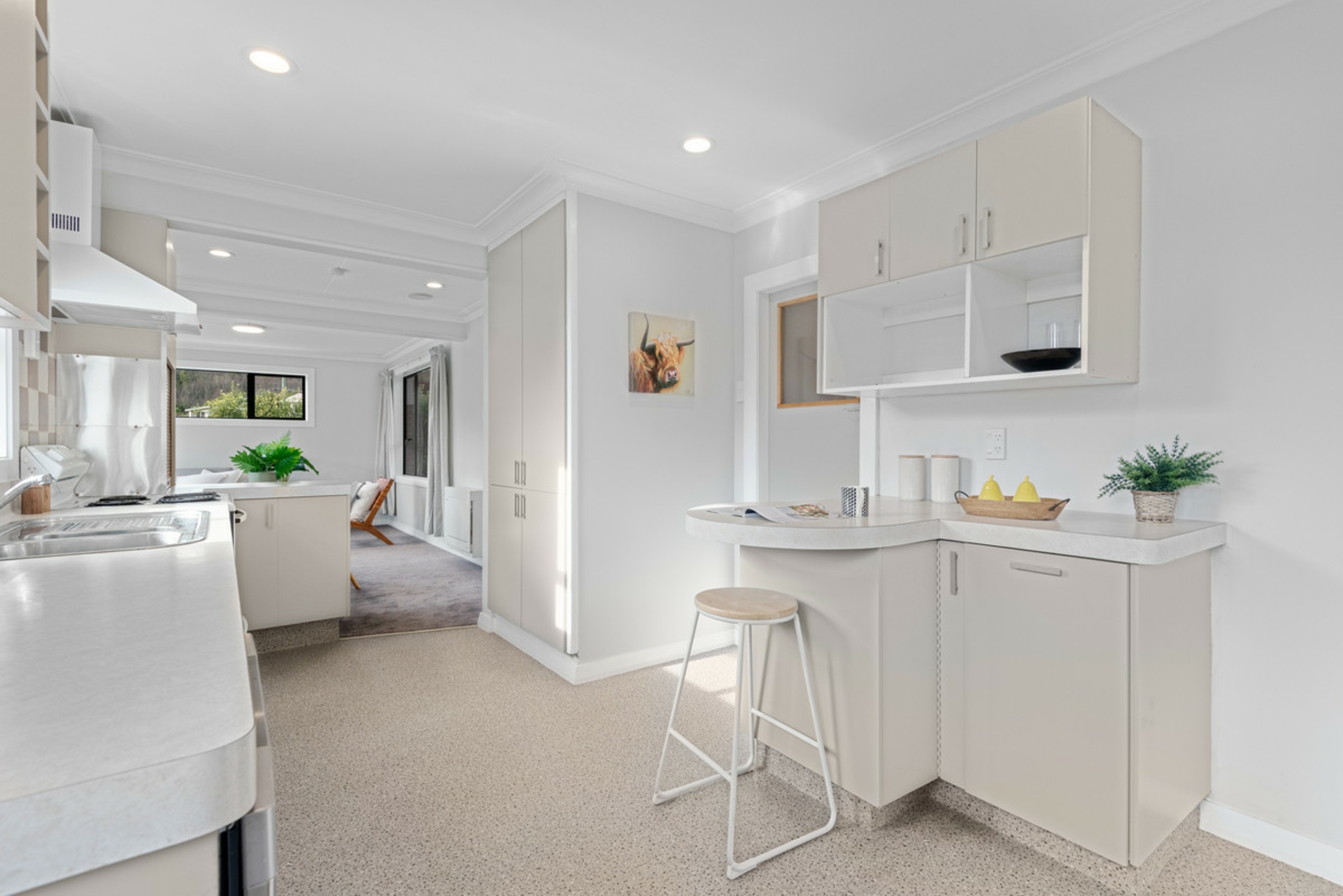 14 Heath Street, ANDERSONS BAY